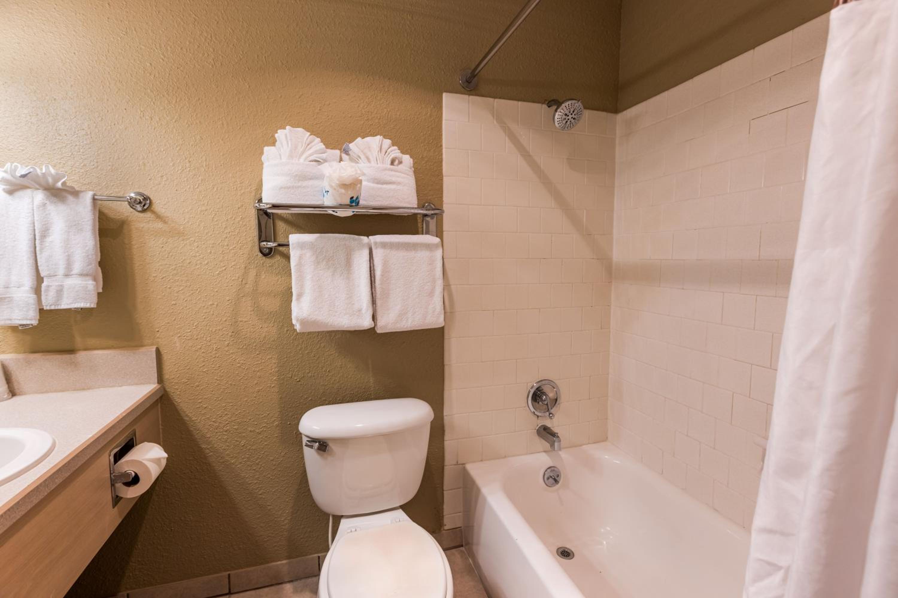 Single Queen Ocean View Suite