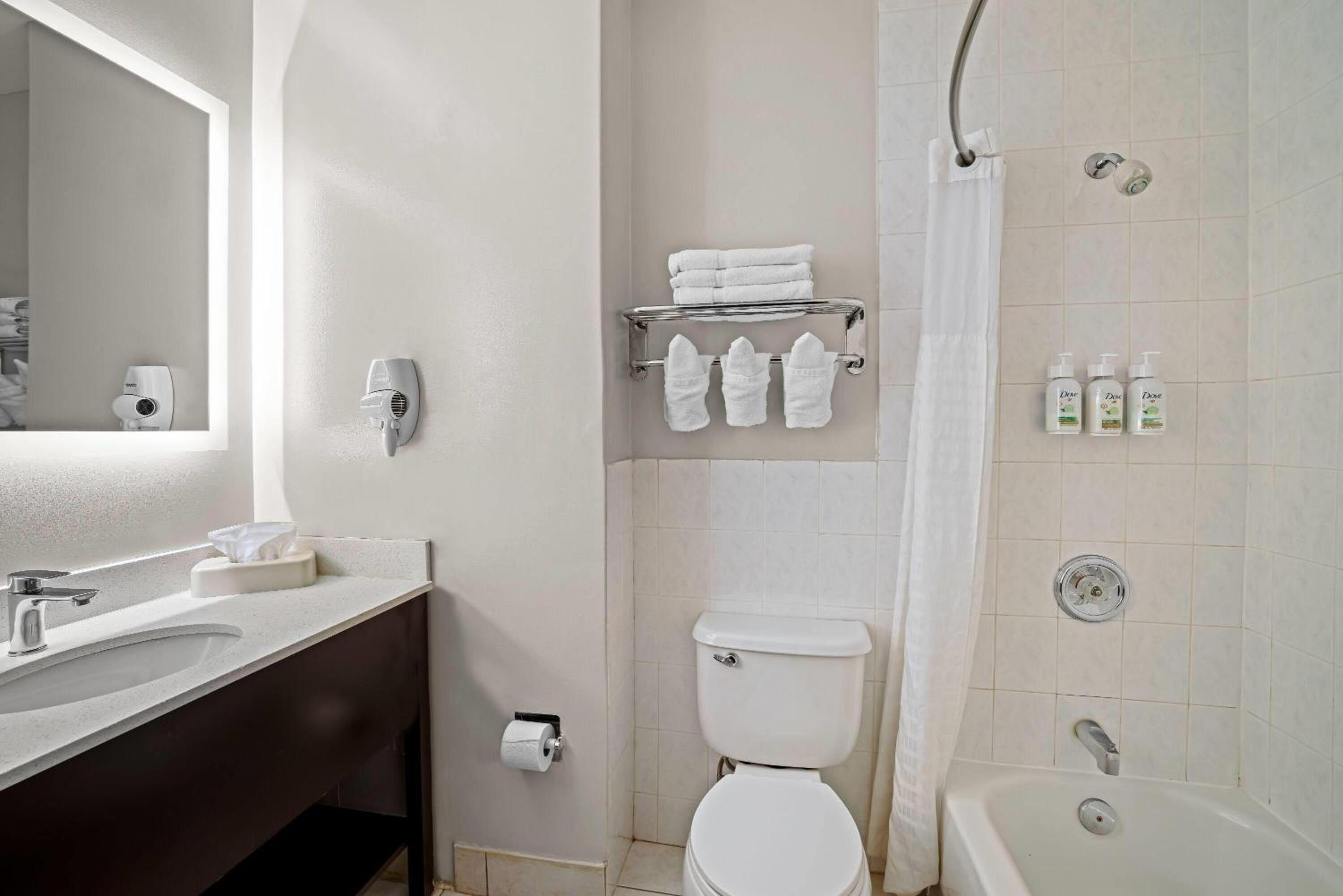 Studio Suite with One King Bed - Ground Floor - Non-Smoking