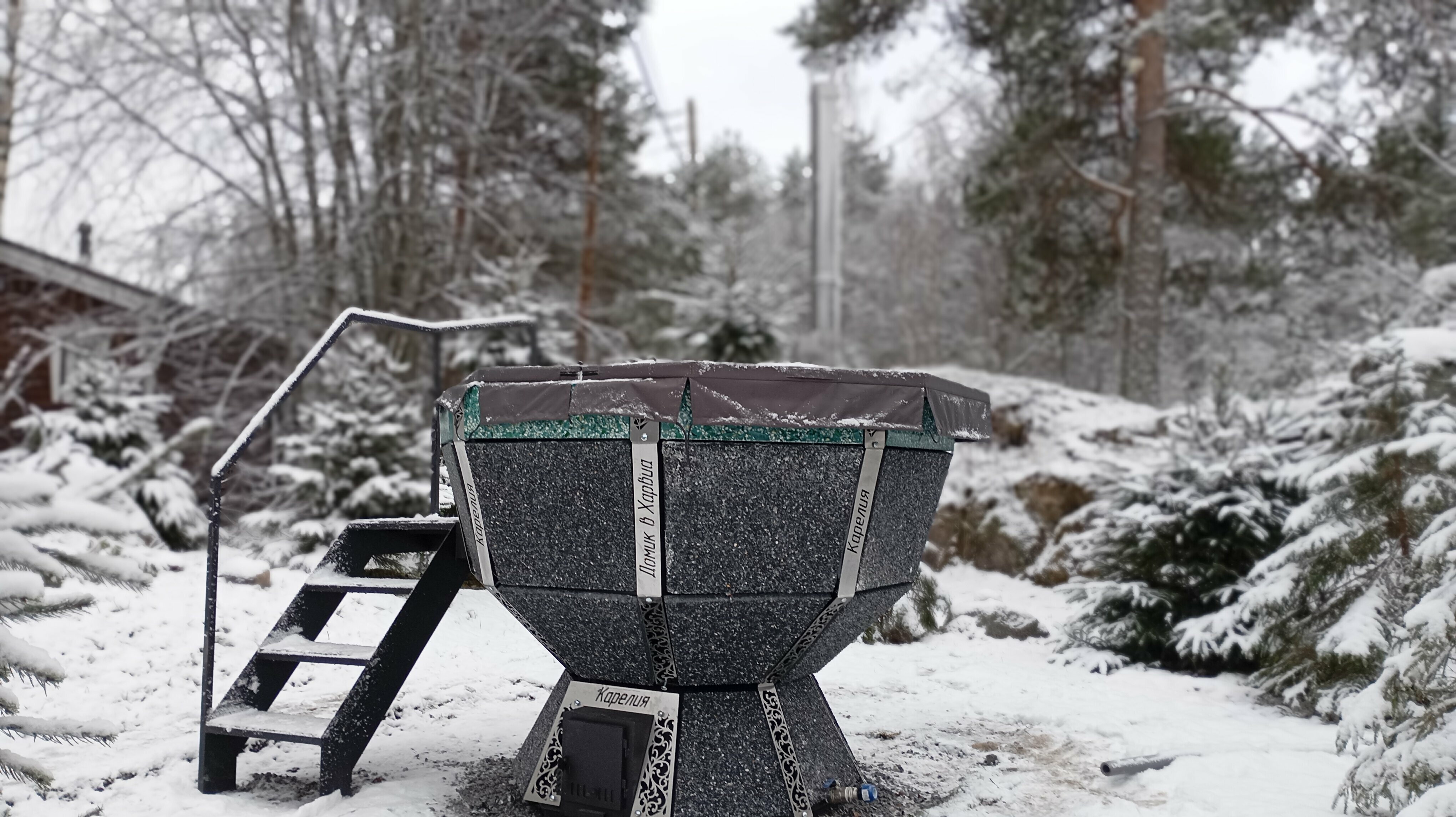 Коттедж с видом на лес