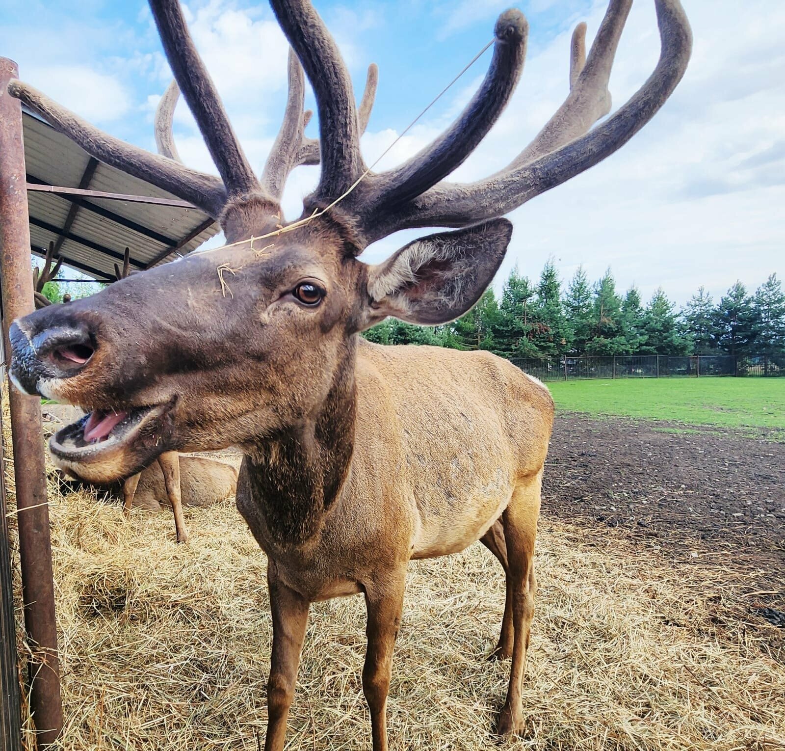 Дом для семейного отдыха