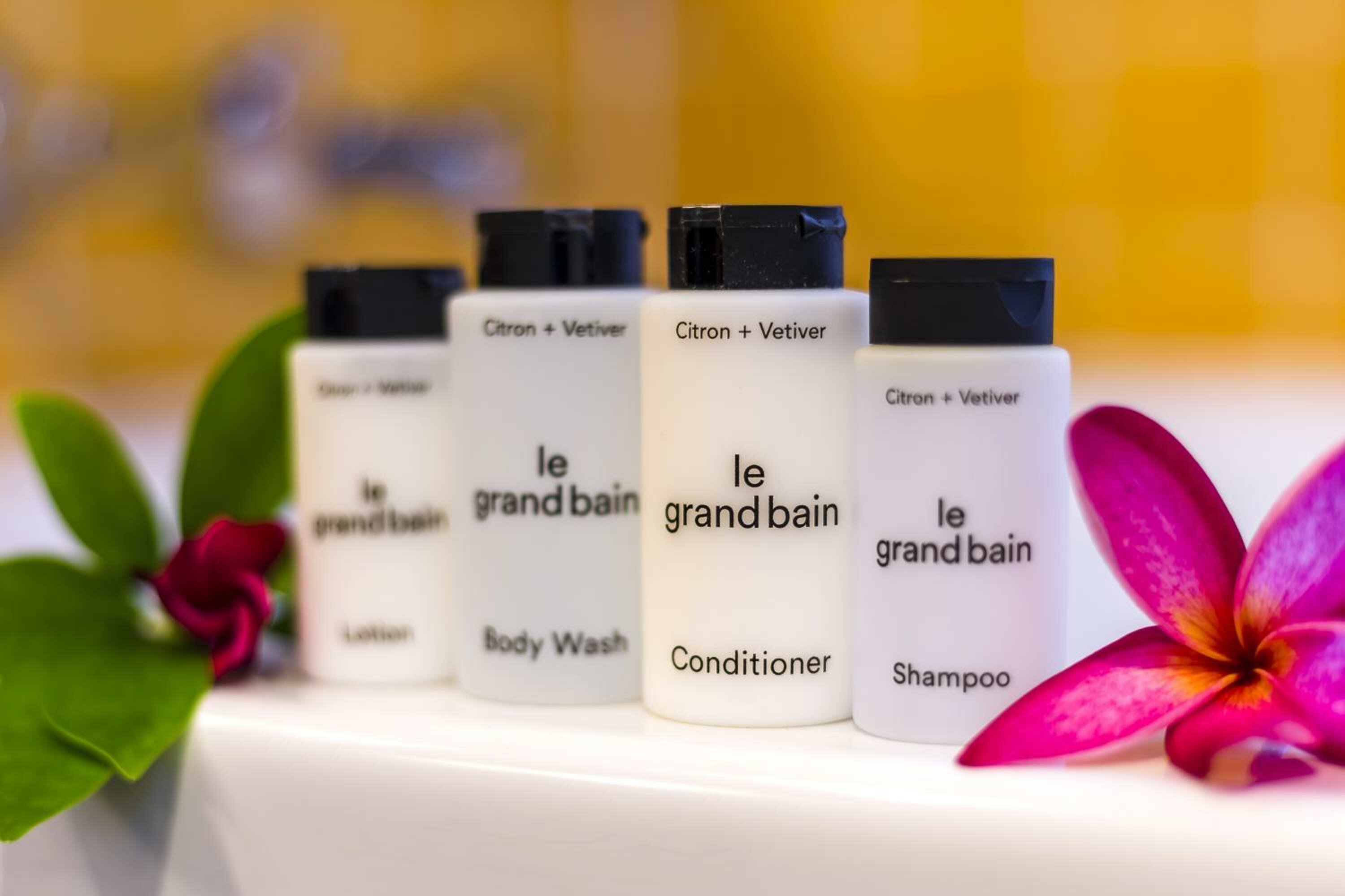 Deluxe Terrace, Larger Guest room, 1 King