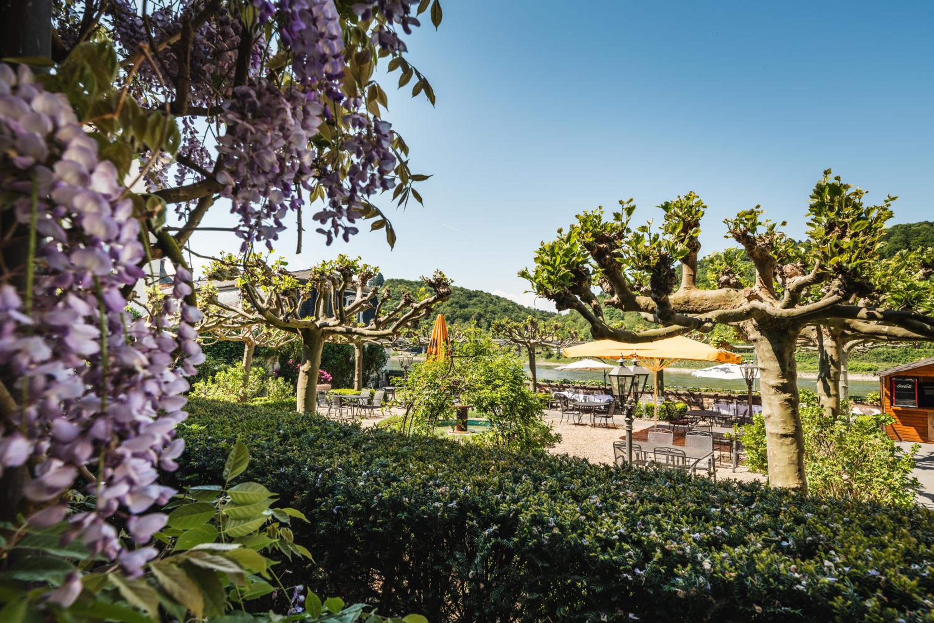 Single Room with River View