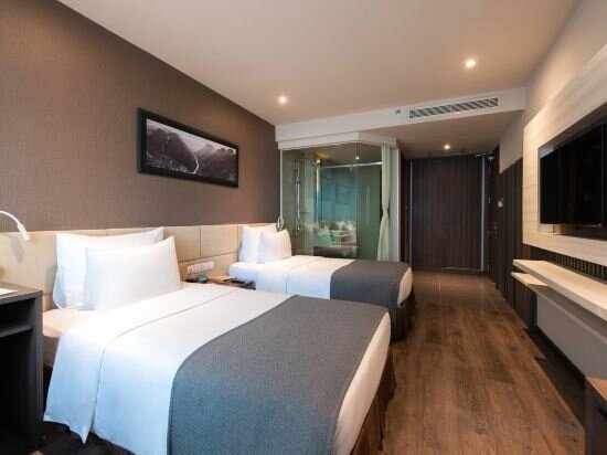 Standard Twin City View