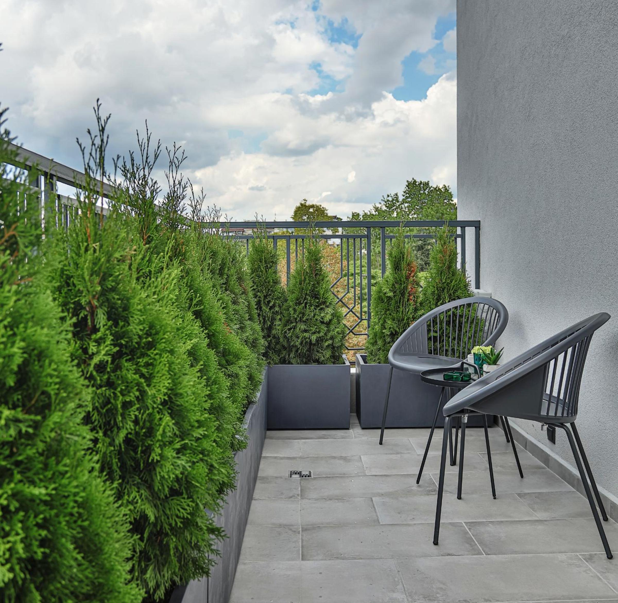 Junior Suite with Terrace