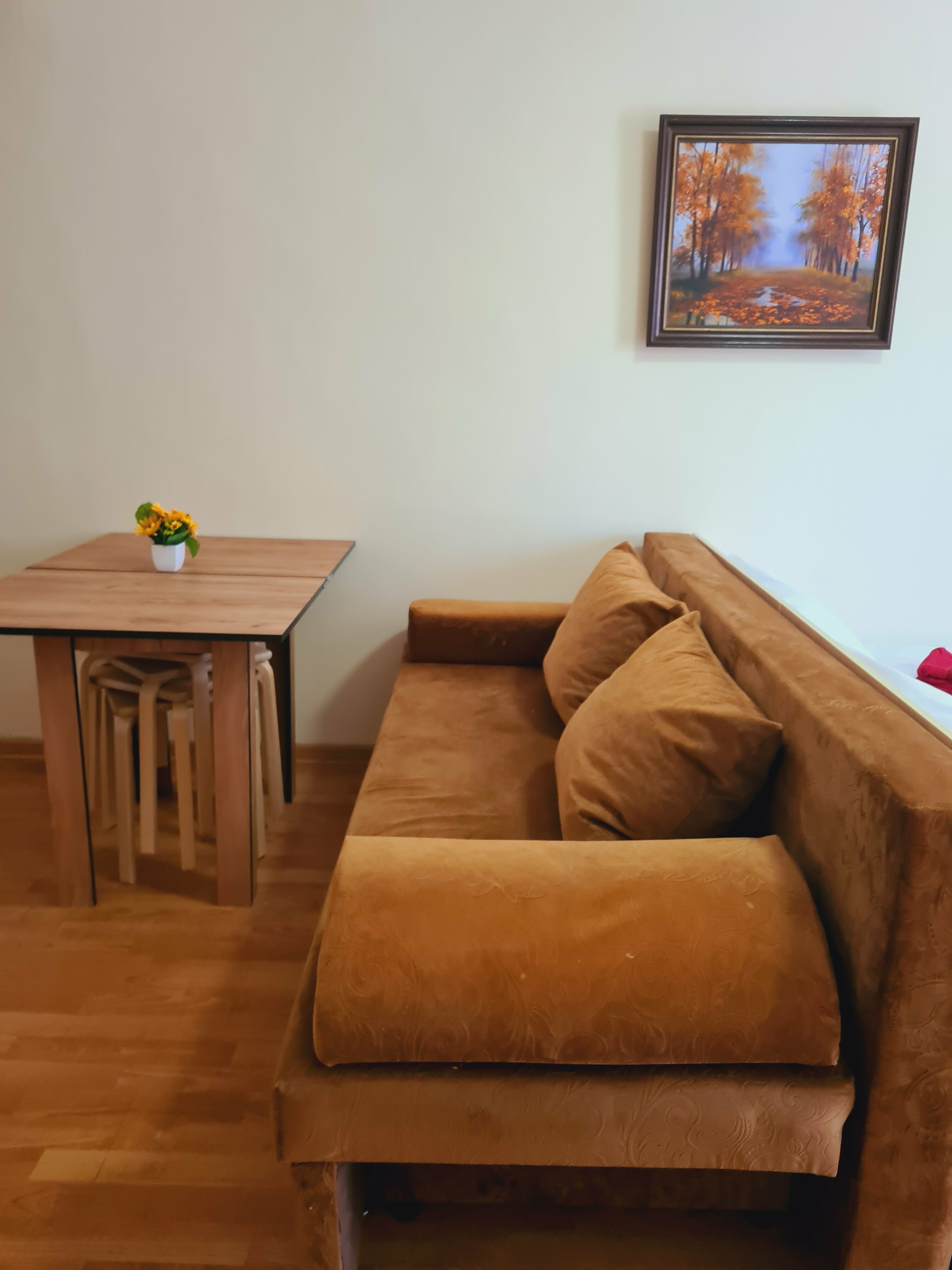 Студия с кухней, 5-ти местный