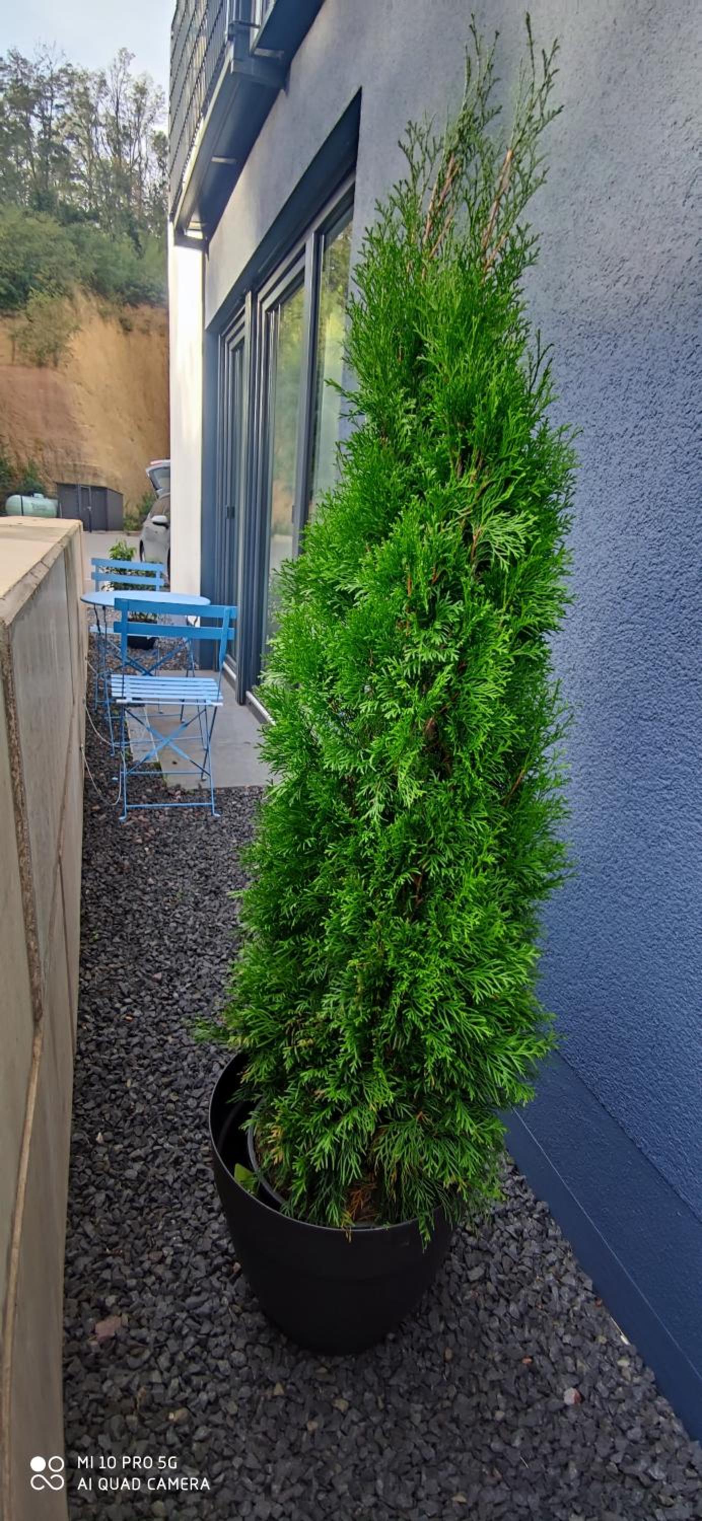 Apartment with Terrace