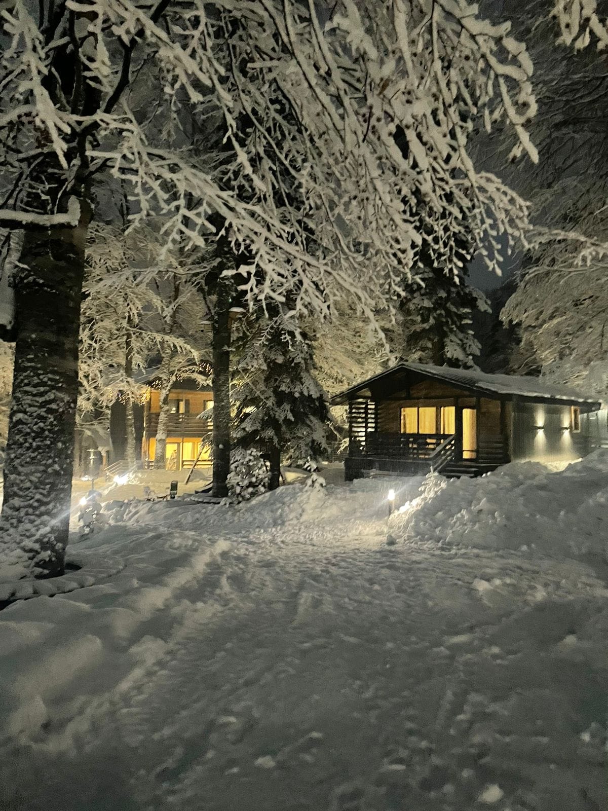 Коттедж Семейный