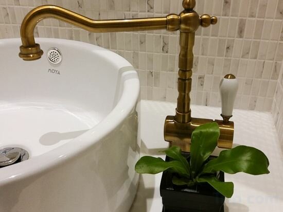 Elegant Garden View Room