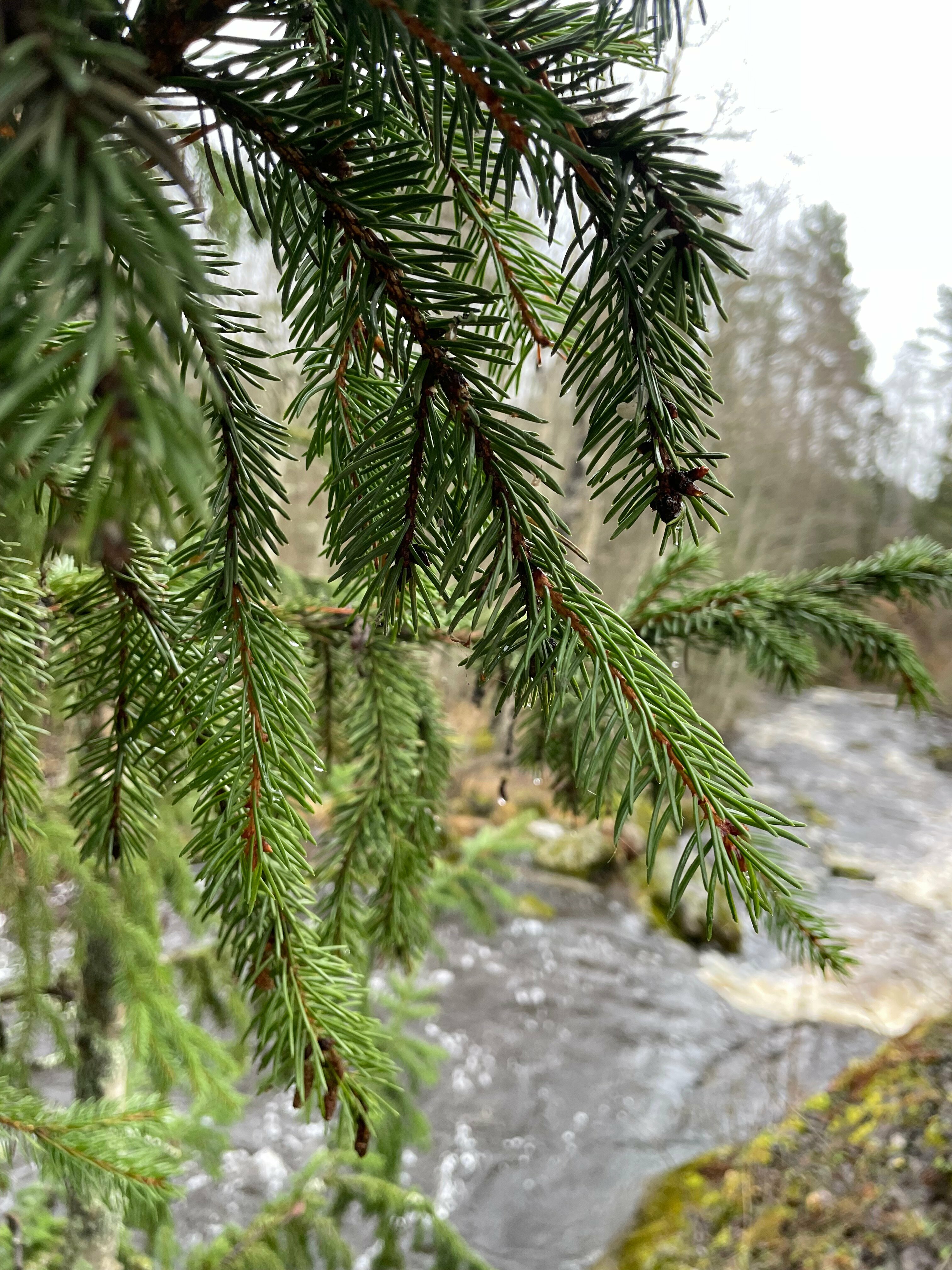Гостевой дом