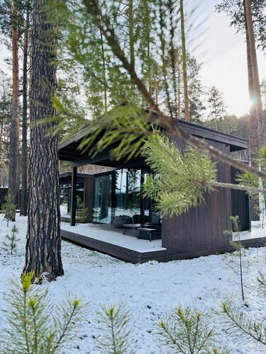 ДОМ "ЛЕС" вторая линия