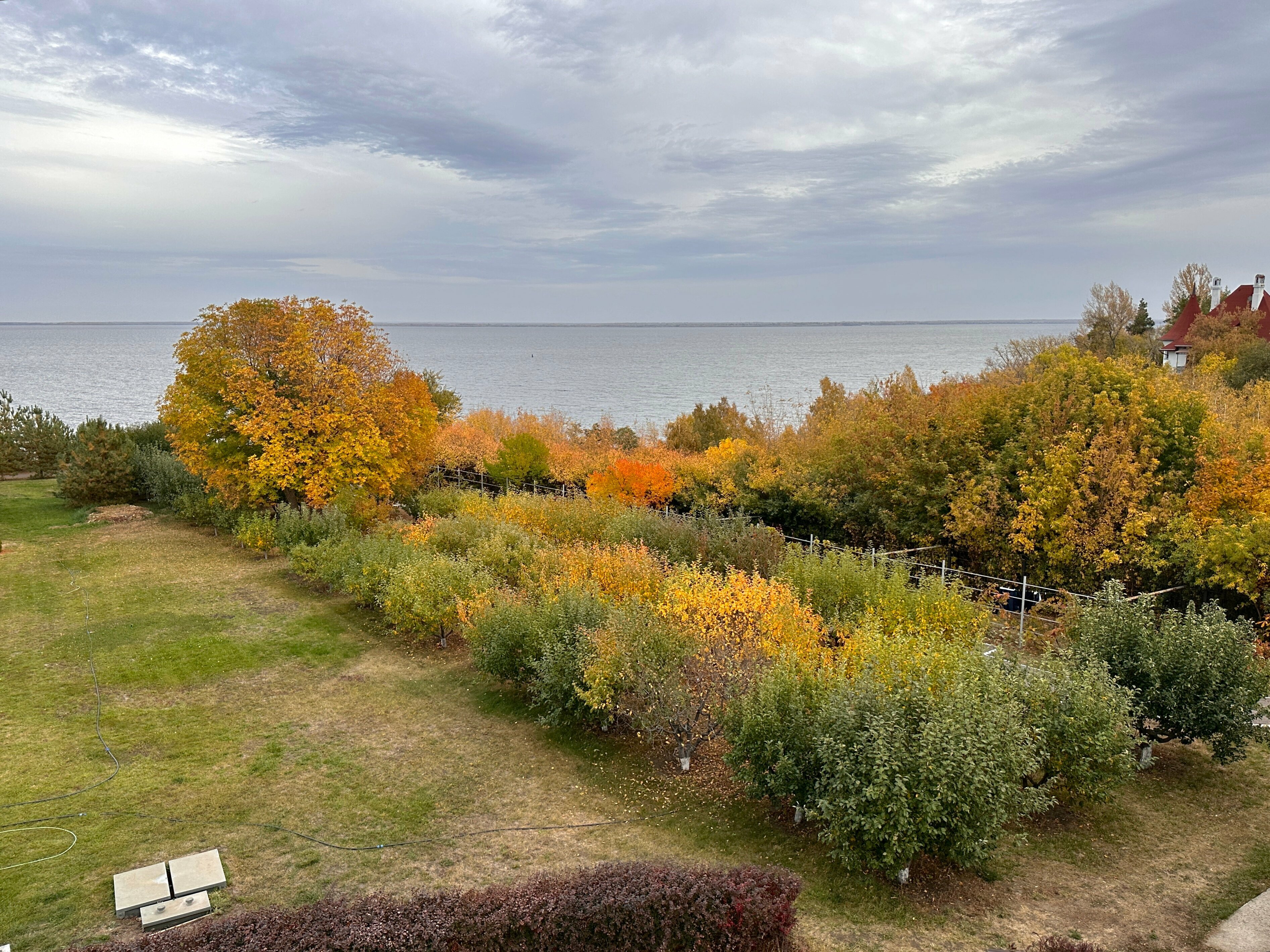 Люкс семейный с видом на сад и Волгу