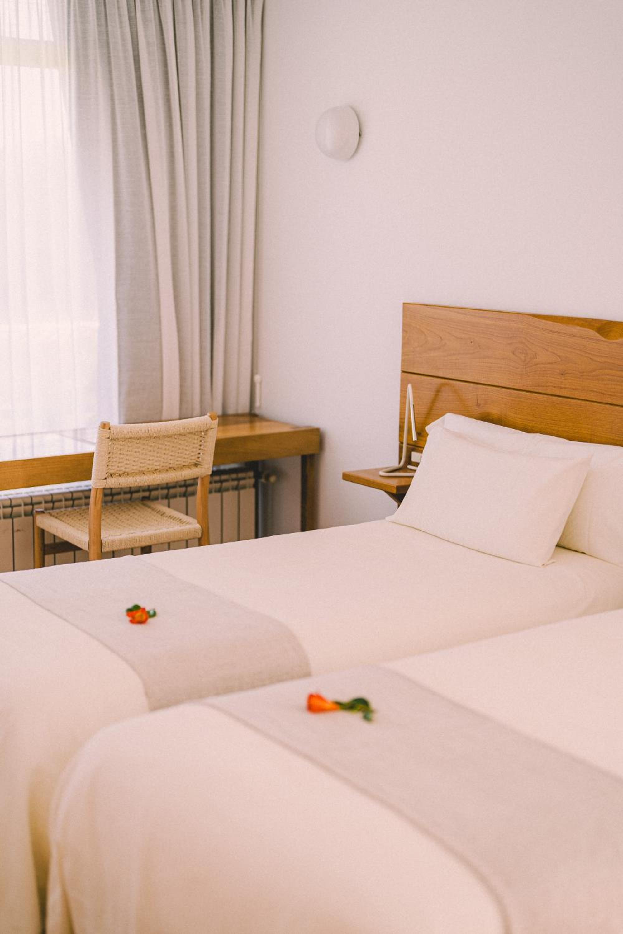 Double or Twin Room with Mountain View