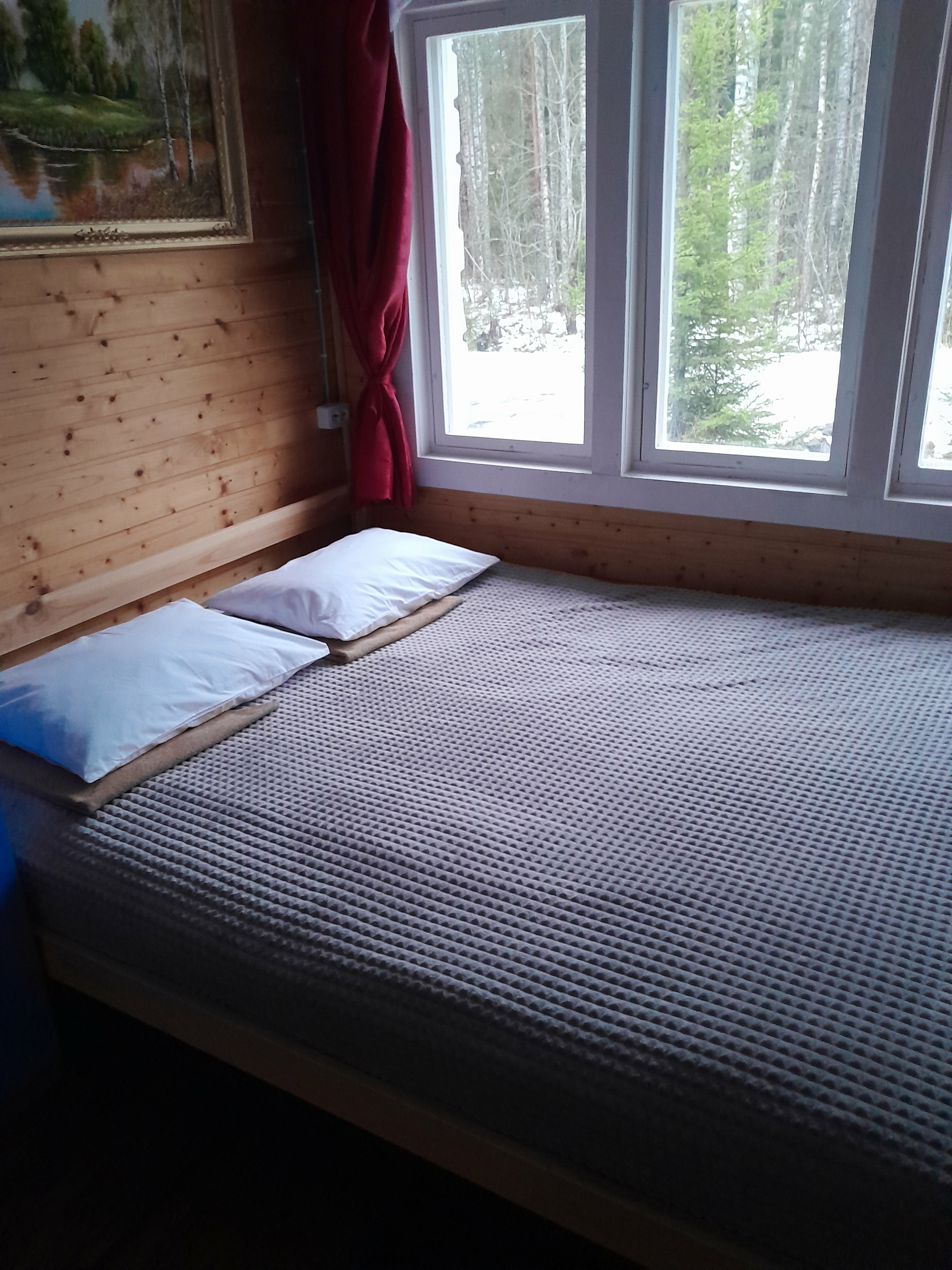 Дом с видом на лес