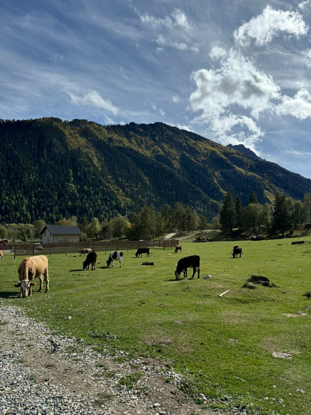 Дом с видом на горы