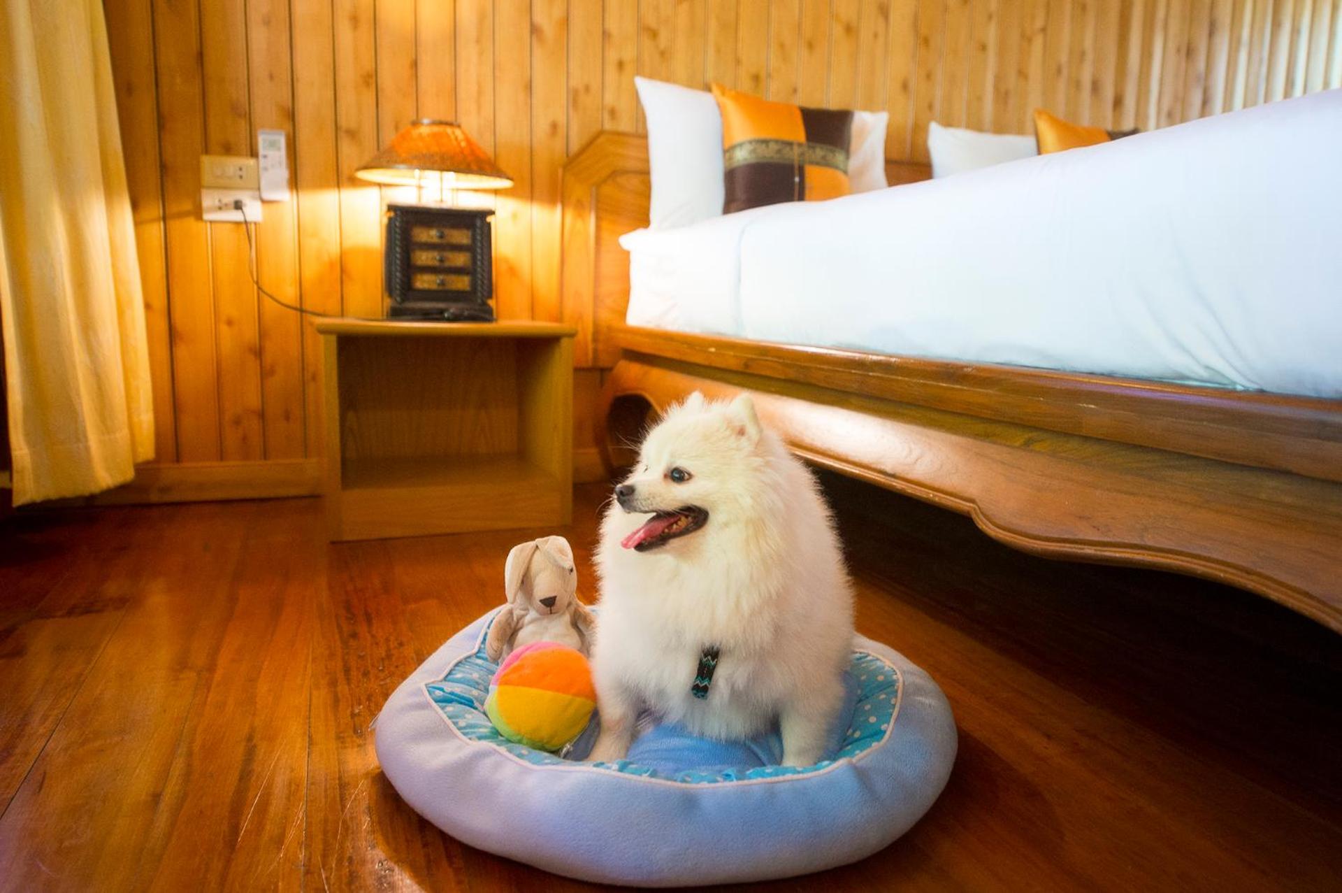 Deluxe Villa Pet Friendly