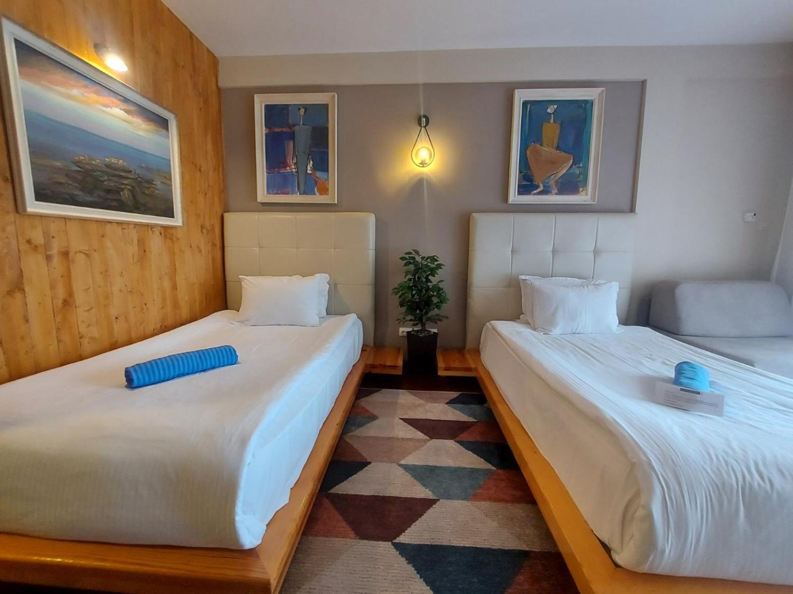 Superior Double or Twin Room