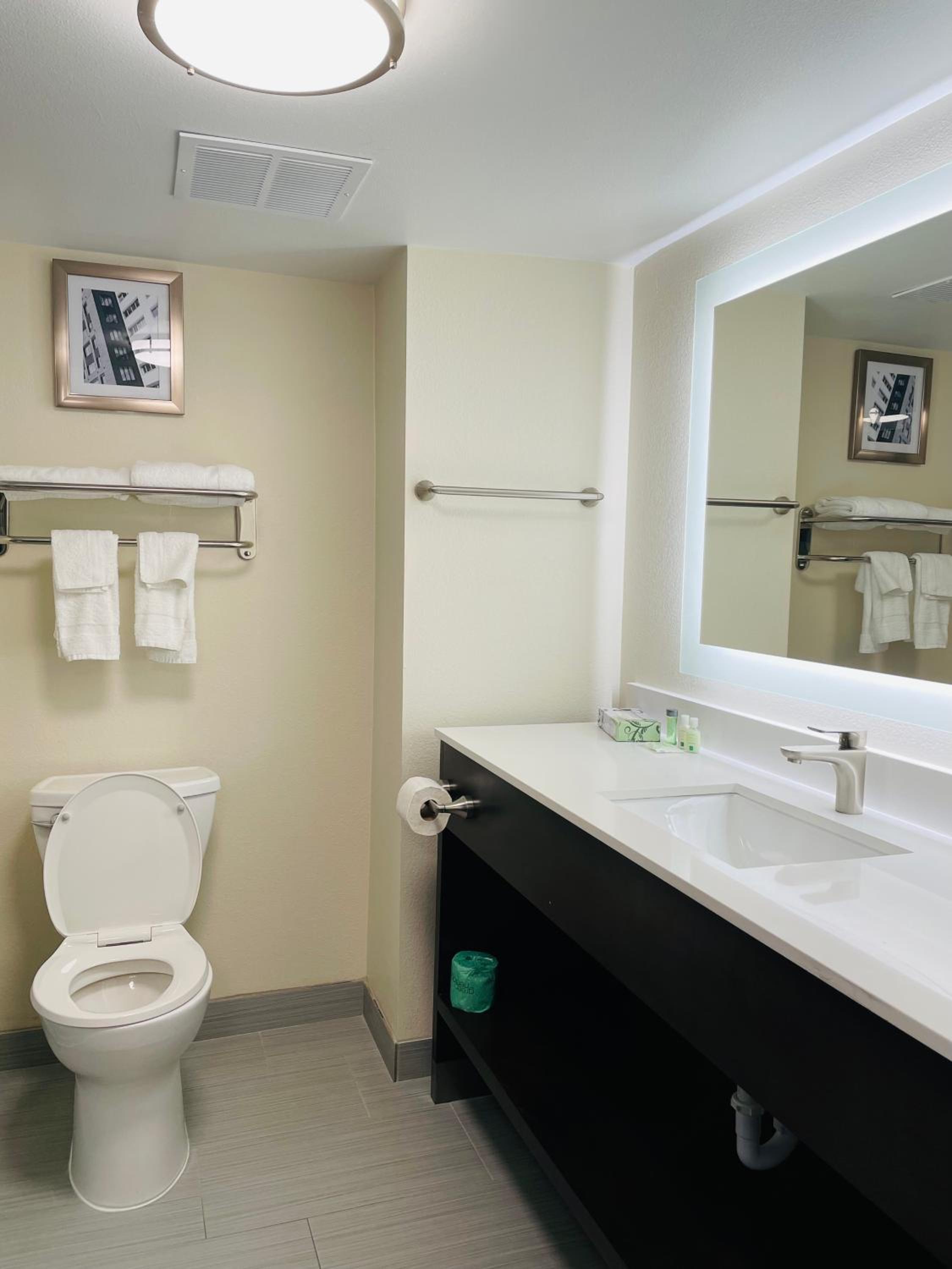 Efficiency King Room - Non Smoking