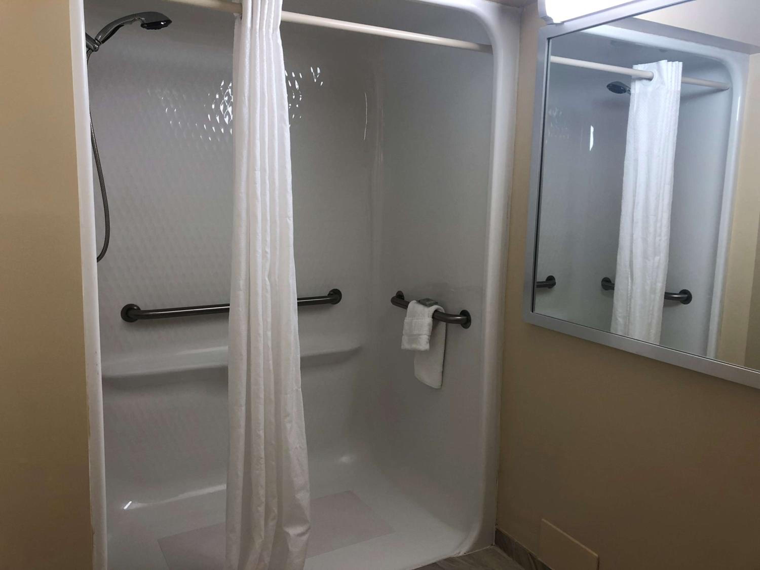Accessible Deluxe King with Roll-in Shower