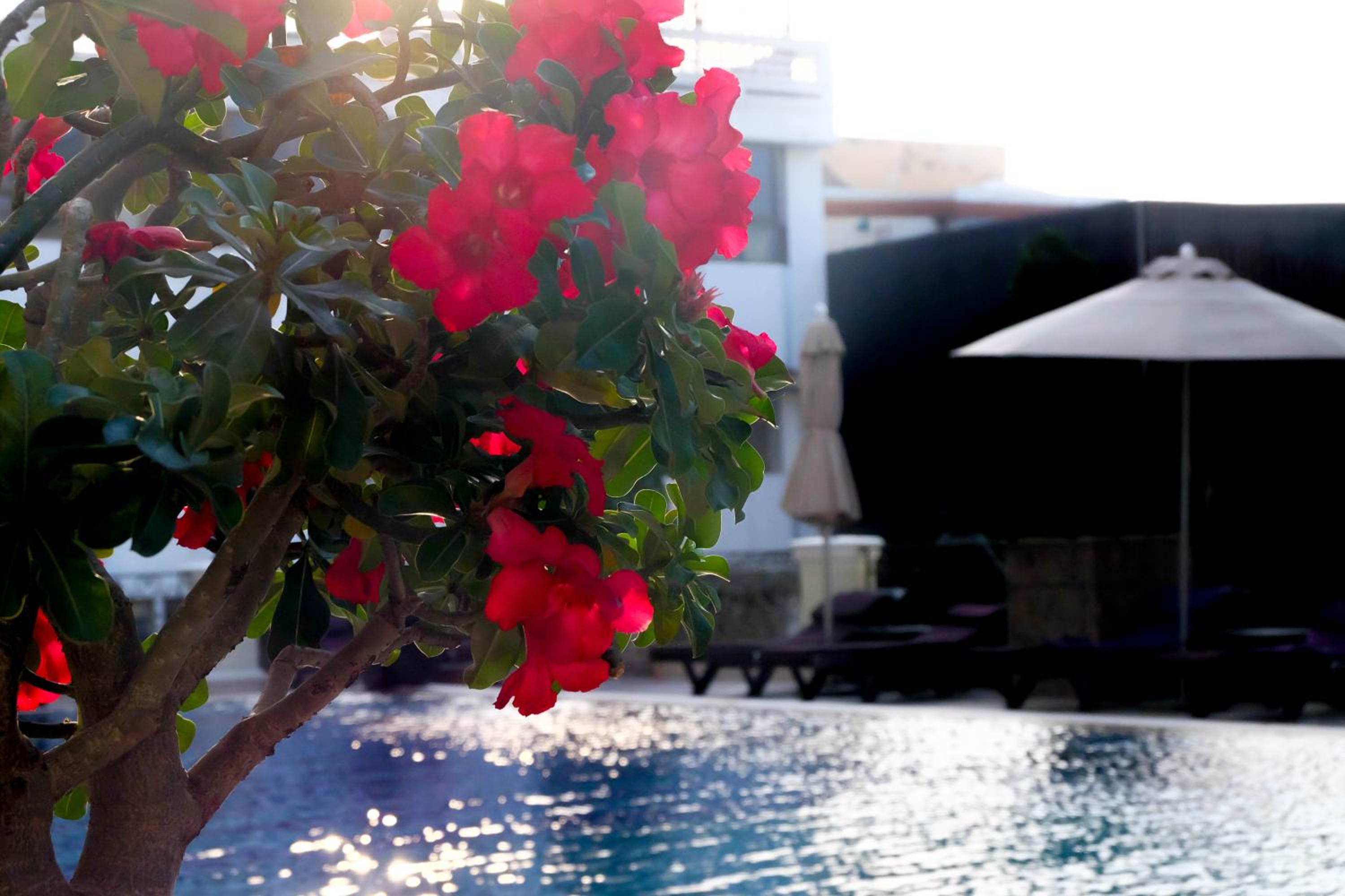 Deluxe Double Room with Sea View