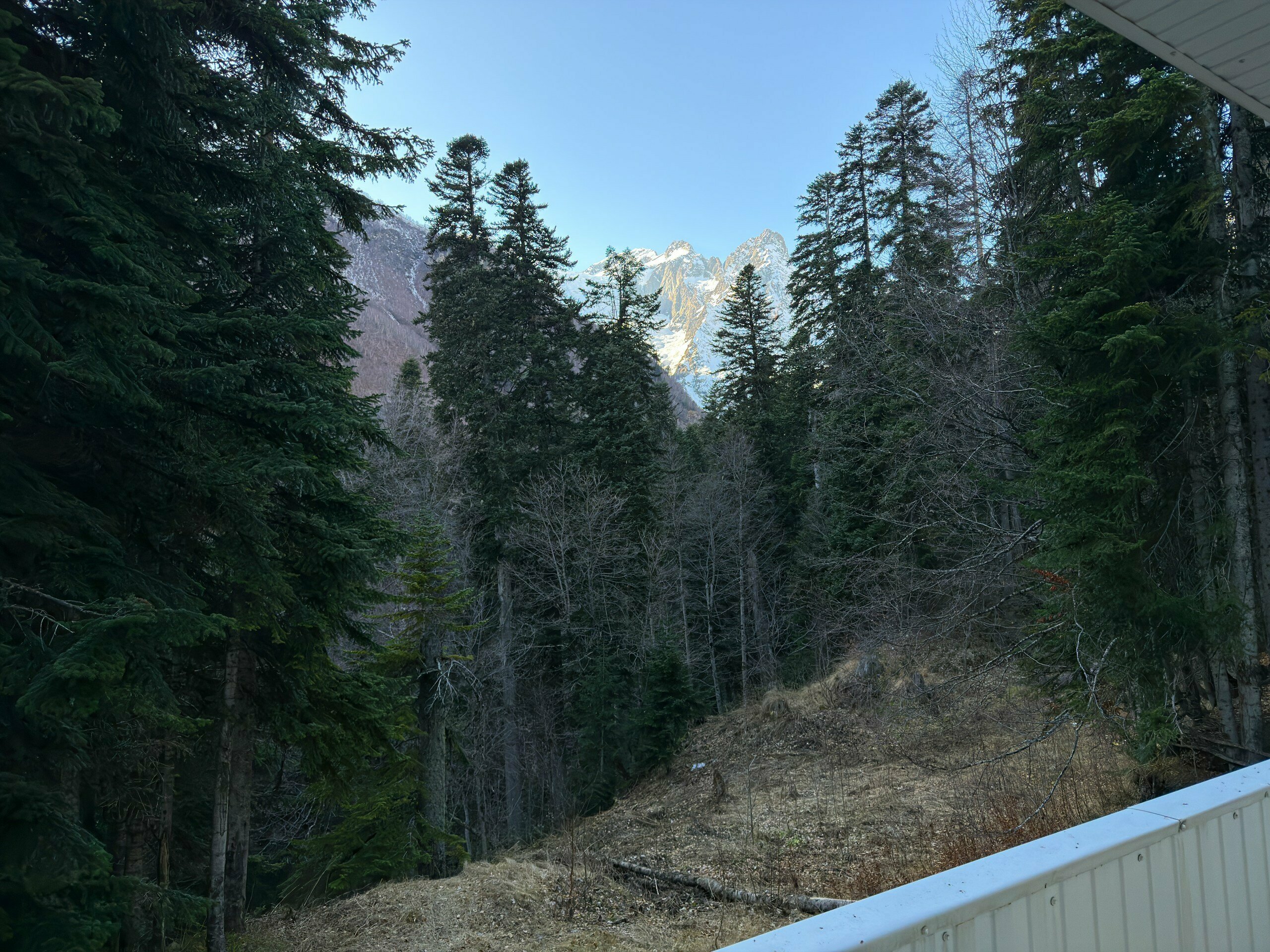 Бюджетный одноместный номер