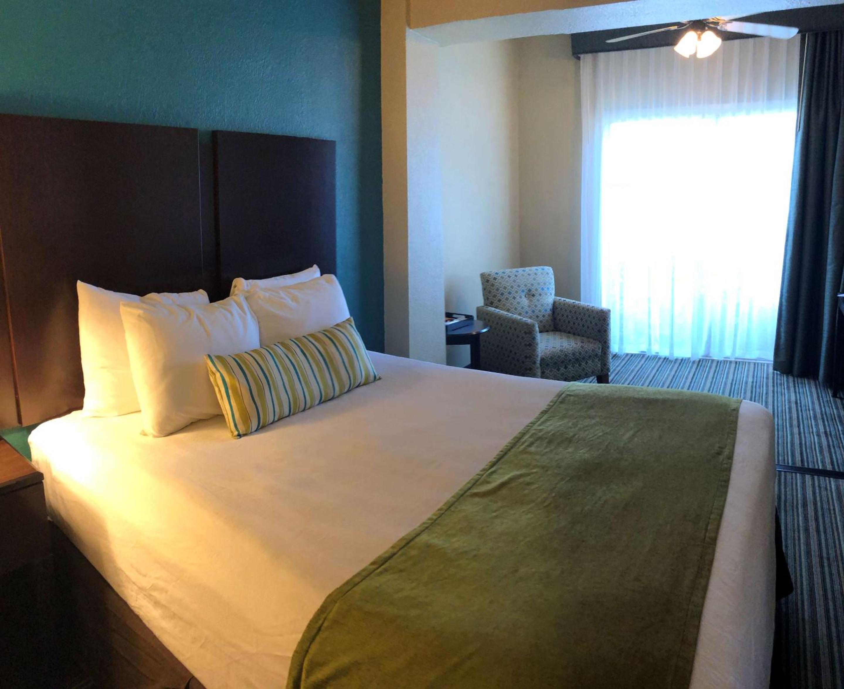 One Bedroom Bay View Suite  King with Balcony