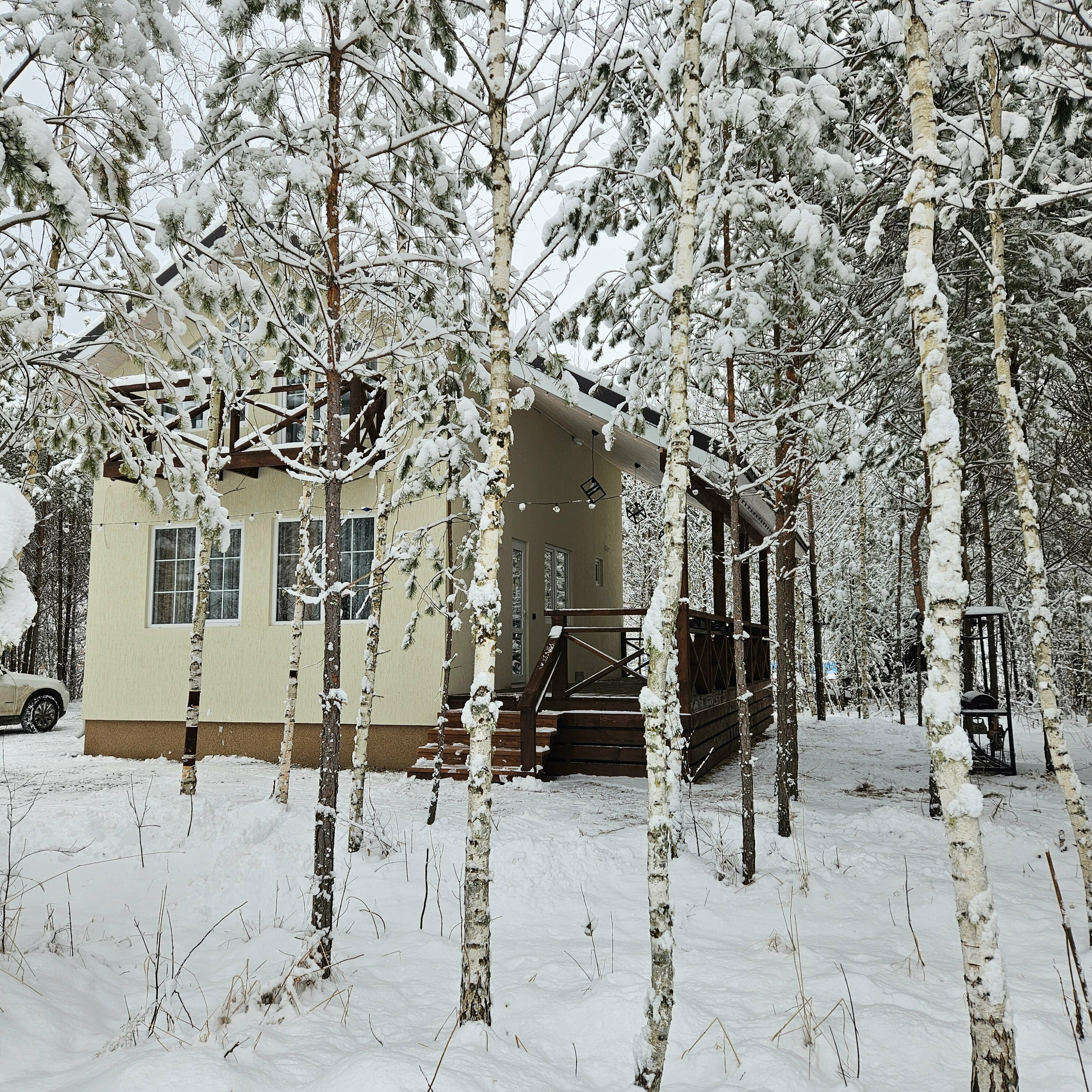 Дом с видом на лес