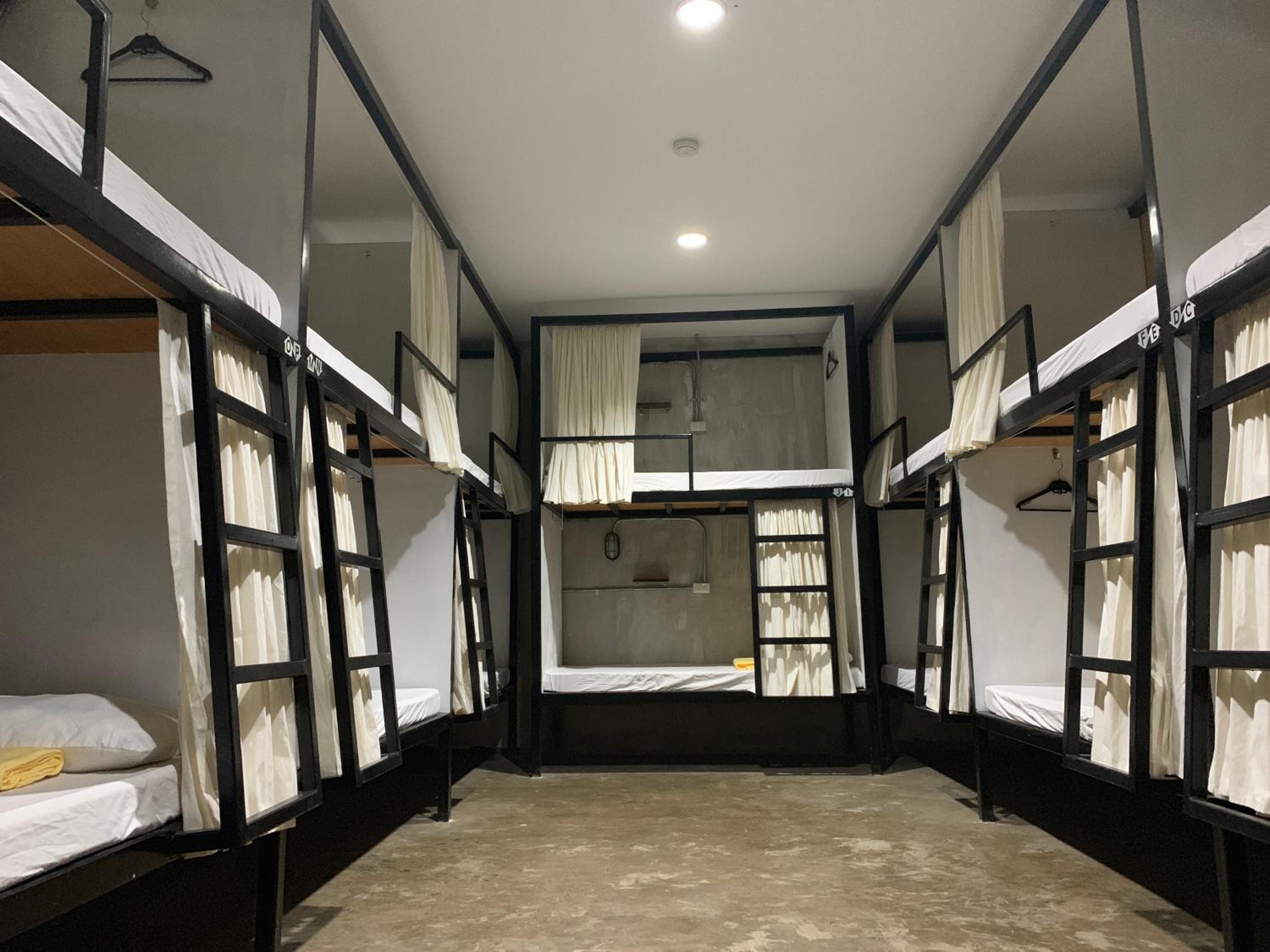 Bunk Bed in Mixed Dormitory Room