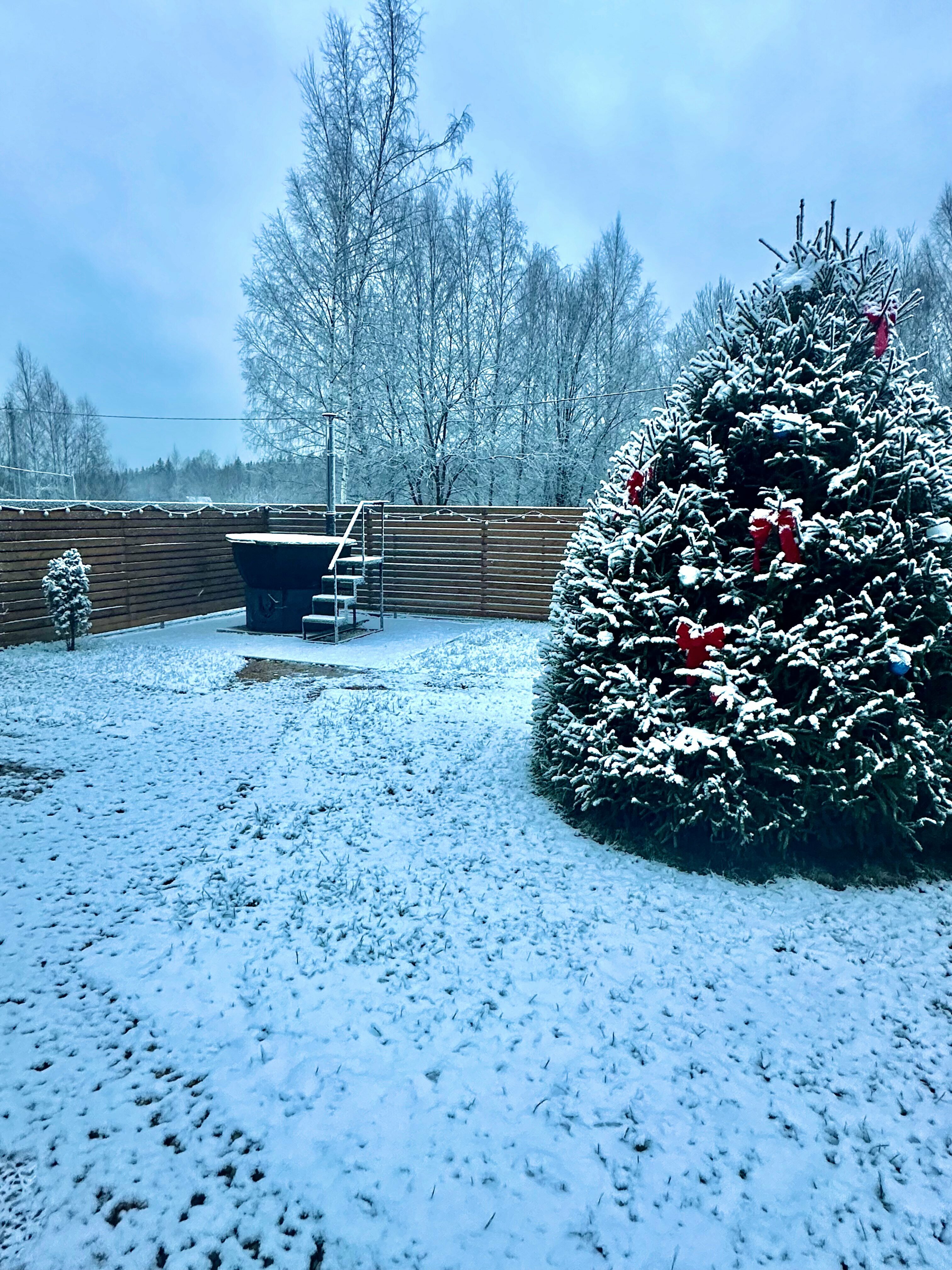 Дом с видом на лес