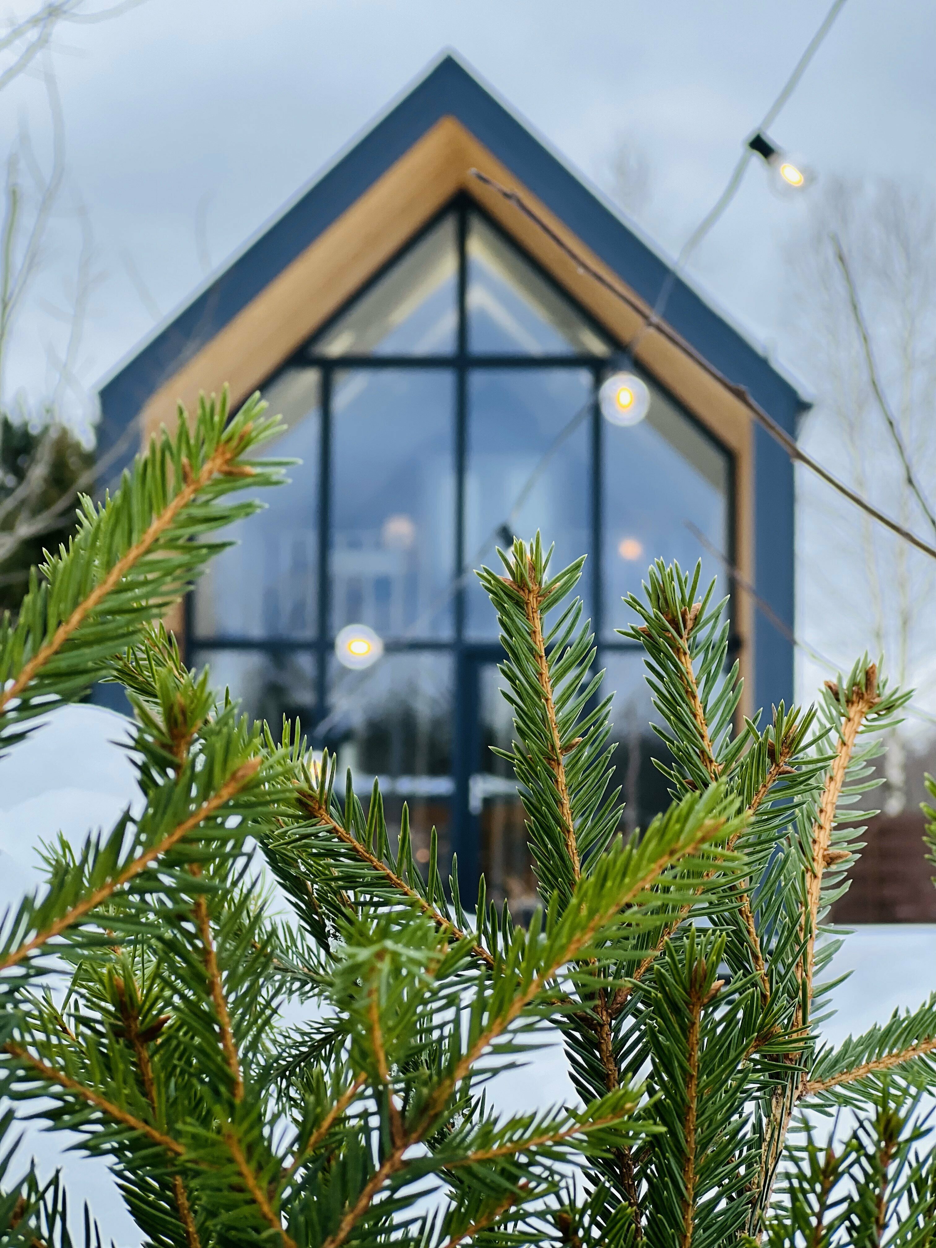 Люкс с 2 спальнями