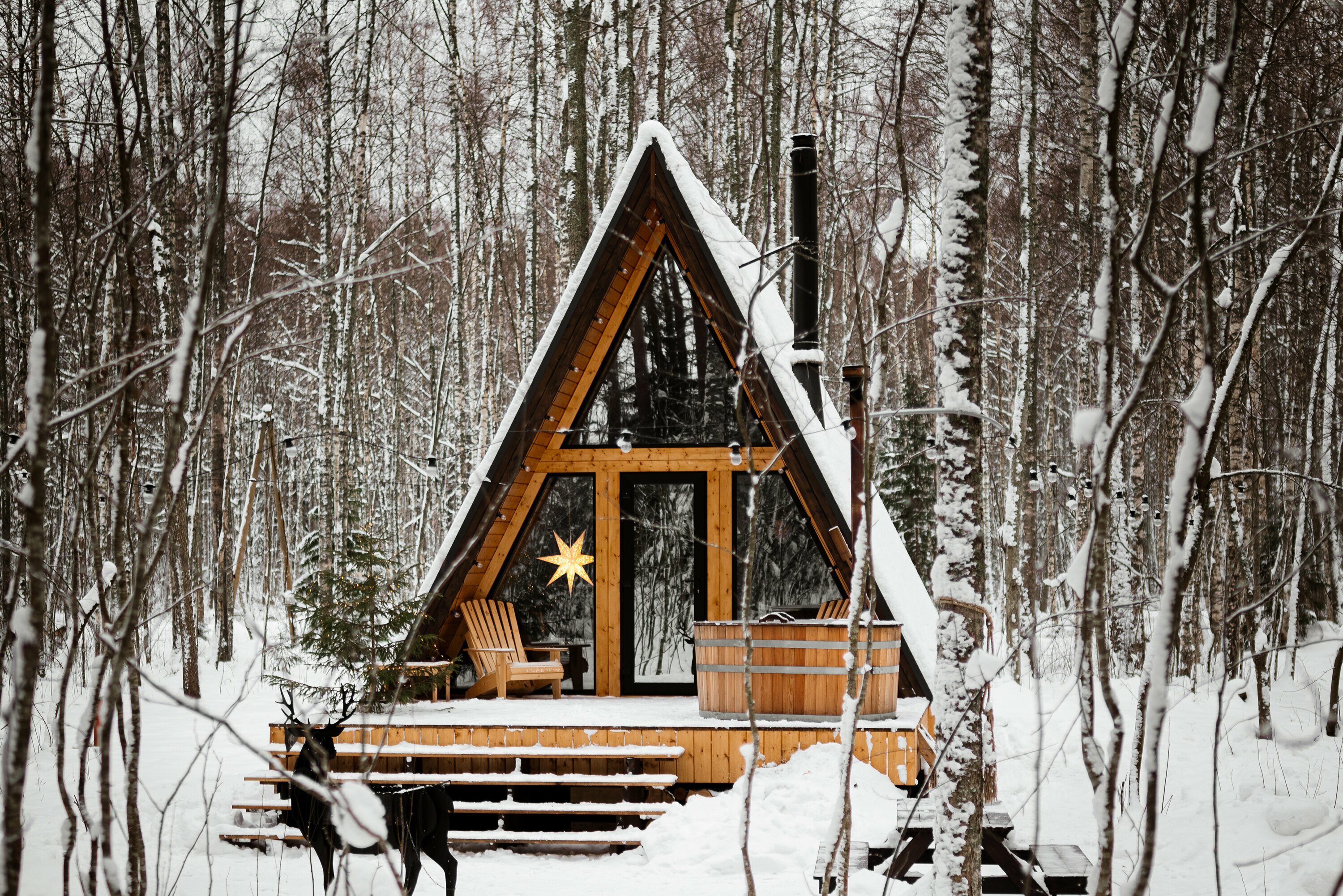 Дом №6 (строго без животных, заезд с 13:00, выезд в 11:00)