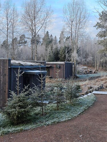 Вилла с видом на лес