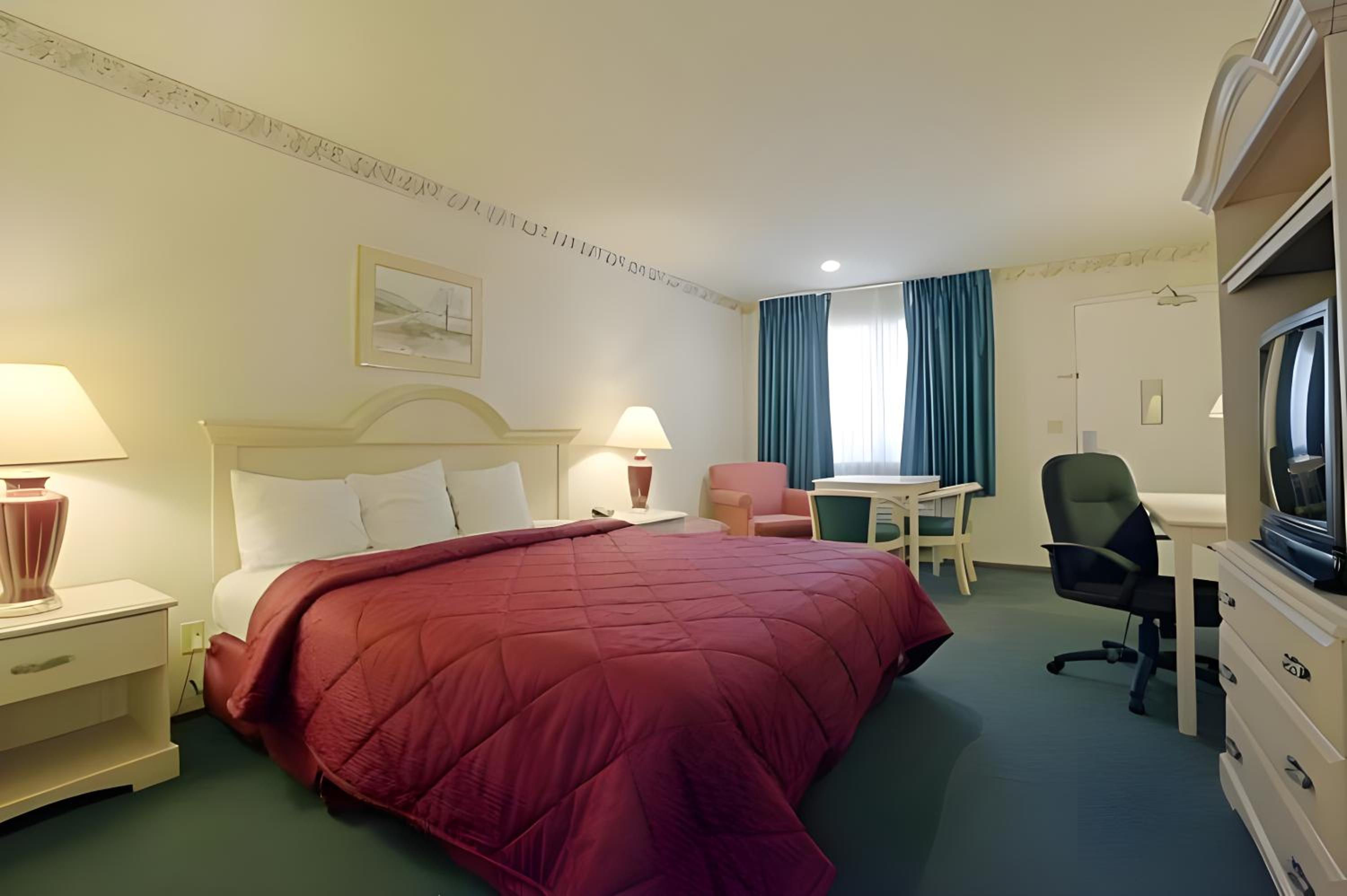 King Studio Suite - Non-Smoking