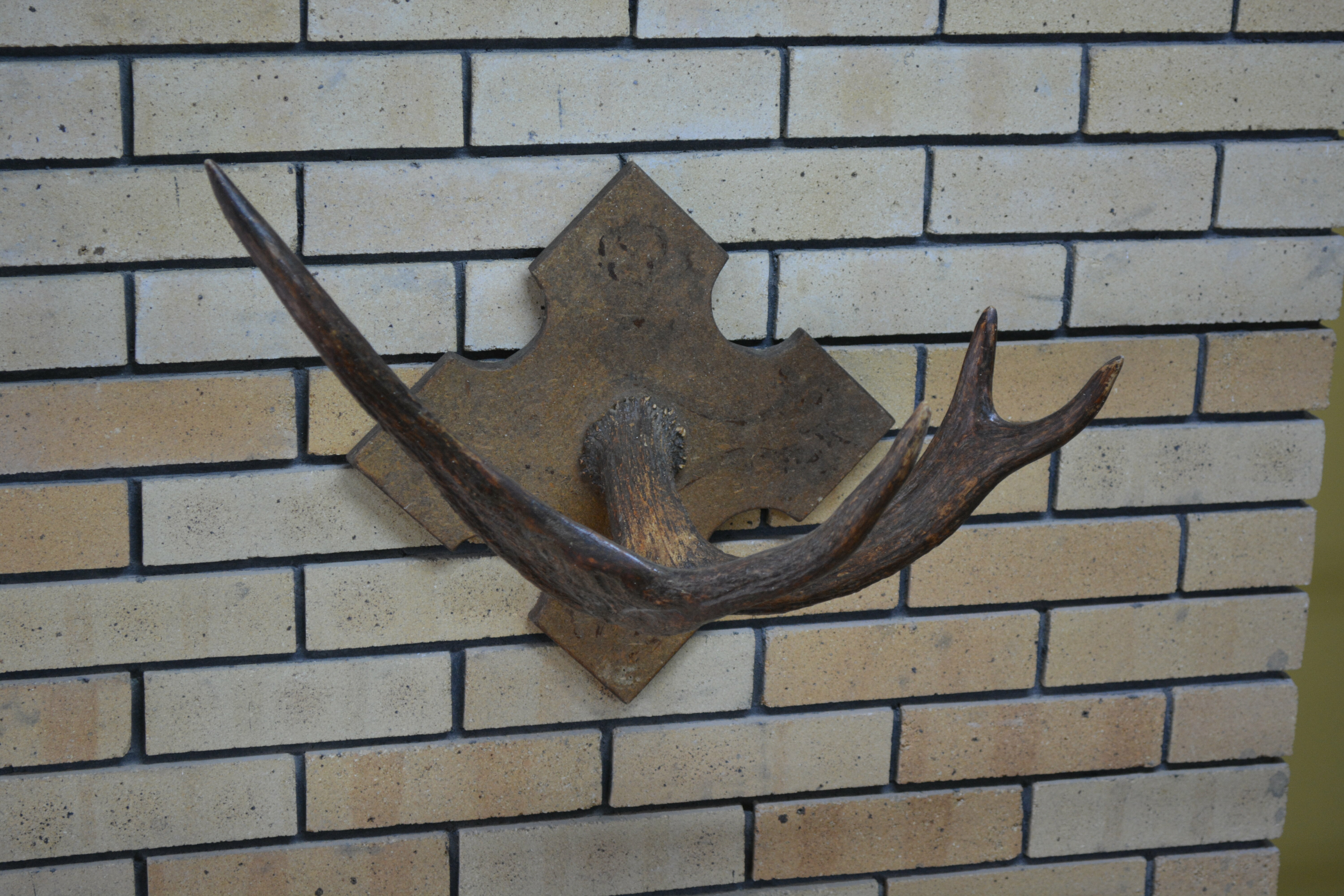 Duplex (двухуровневый) с камином и ванной