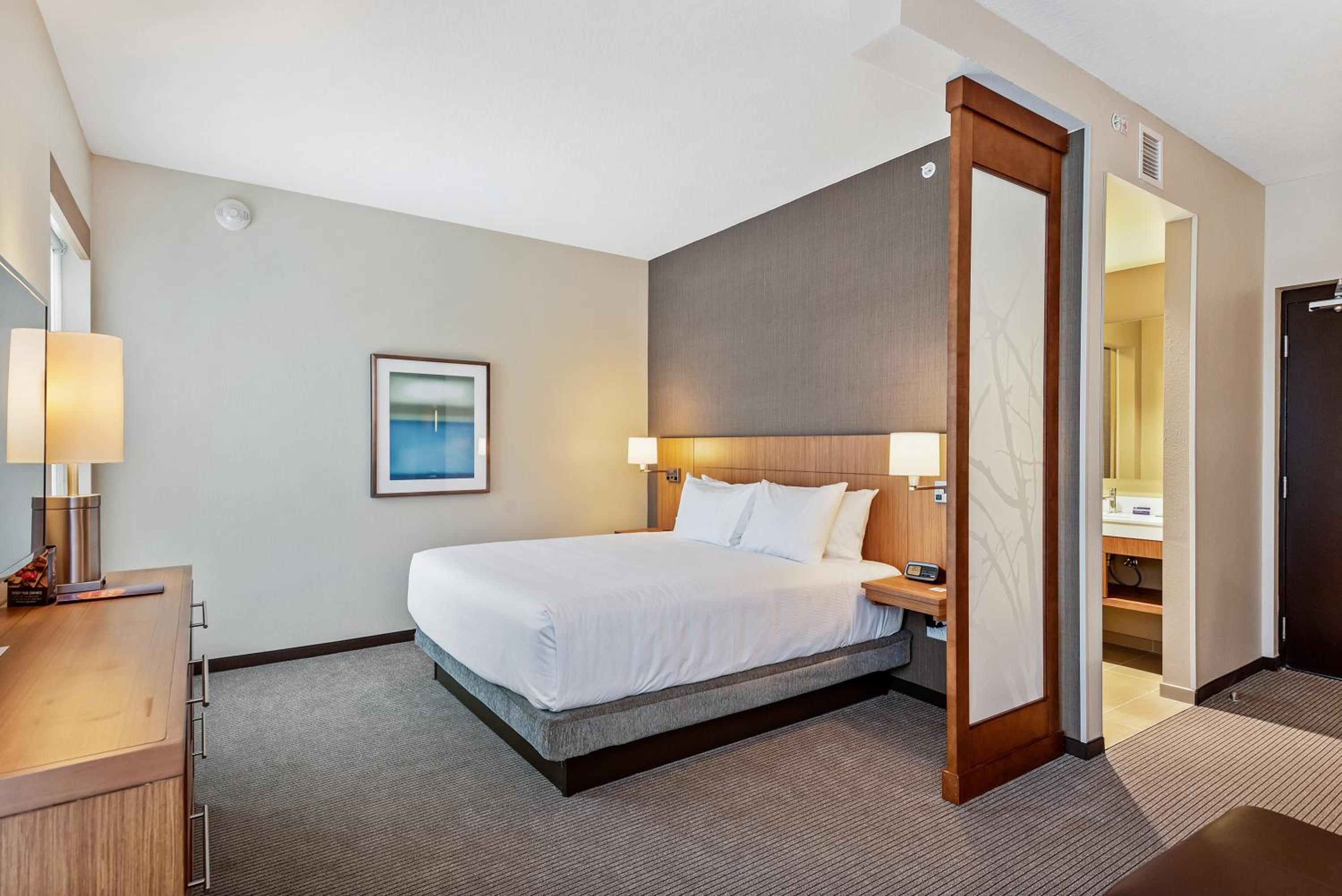 King Room with Roll-In Shower - Disability Access