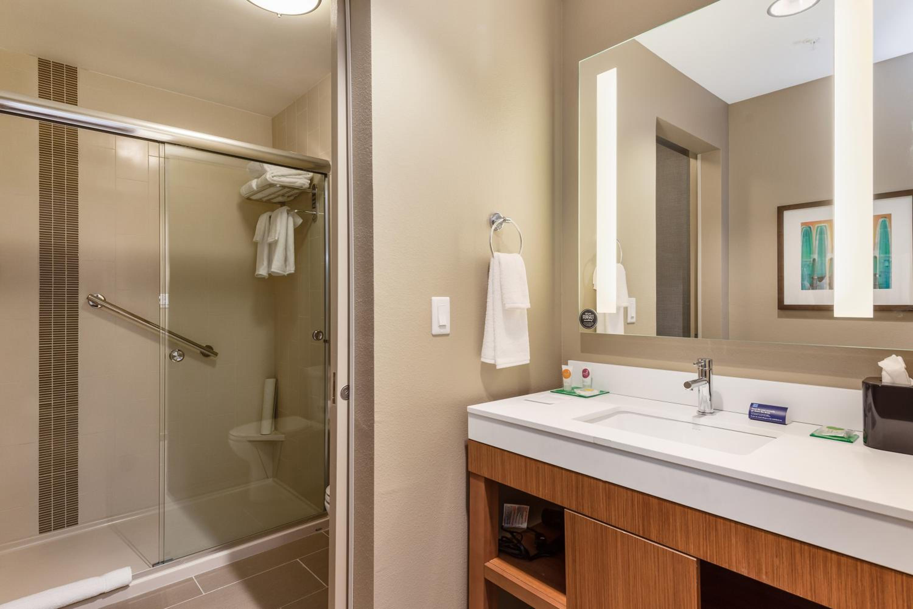 King Room with Roll-In Shower - Disability Access