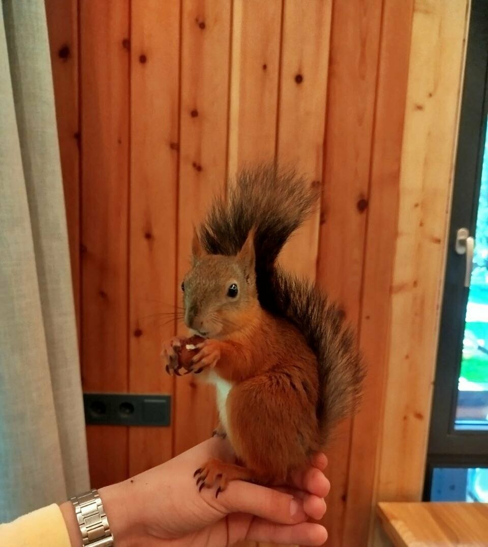 Барн с верандой