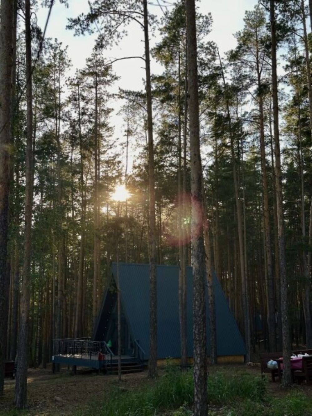 А-фрейм (с видом на лес)