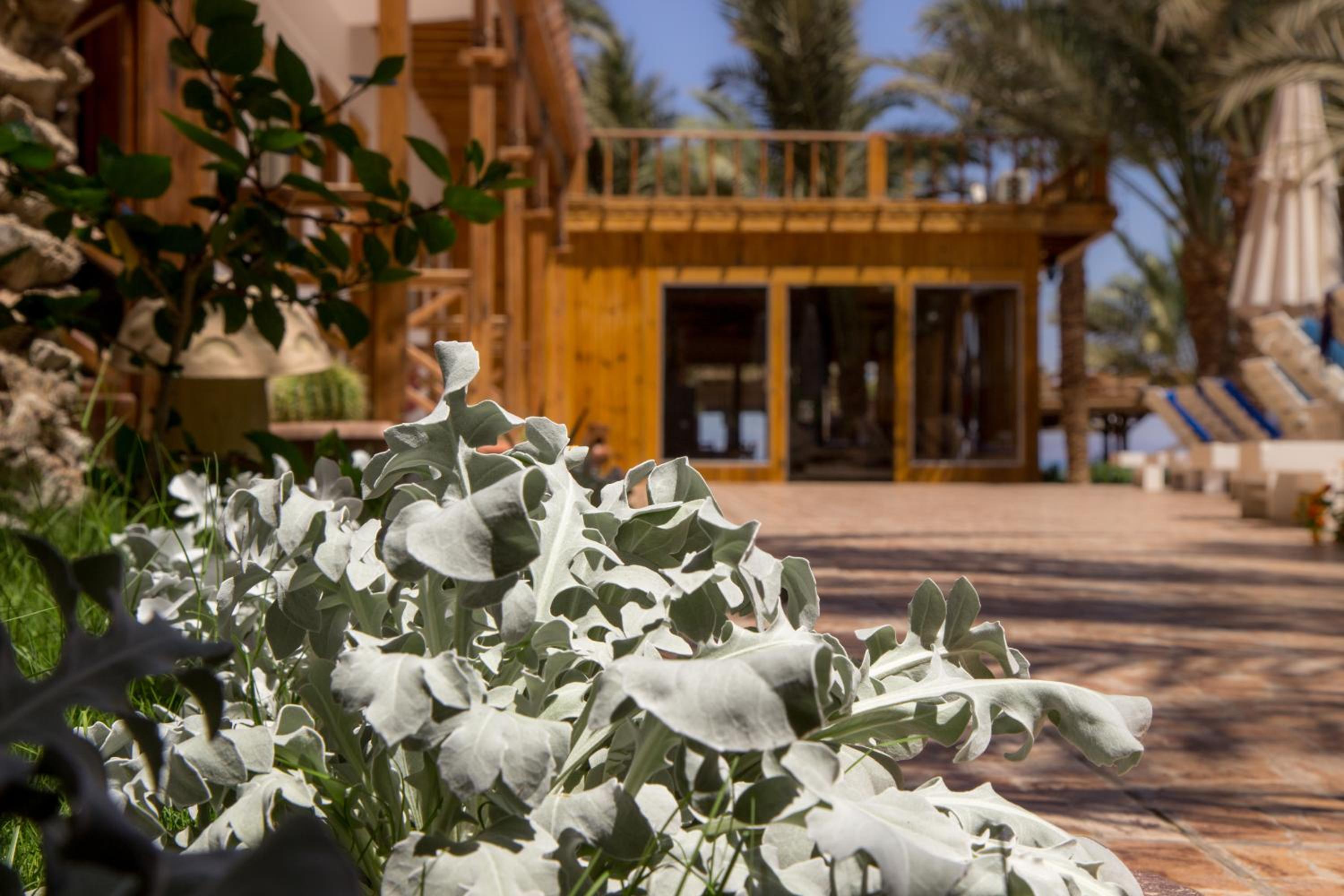 Classic Triple Backside Room