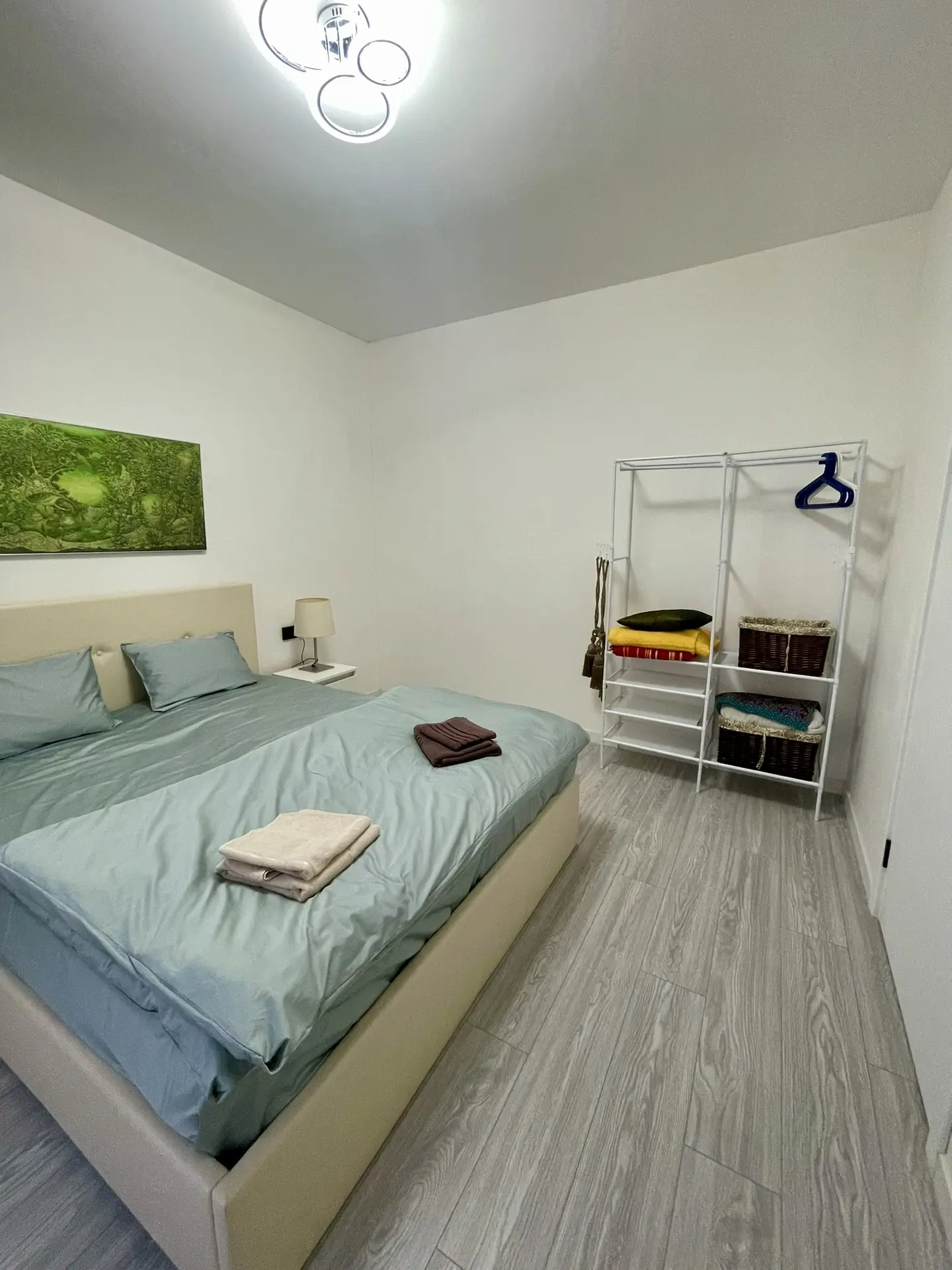 Апартаменты с 1 спальней