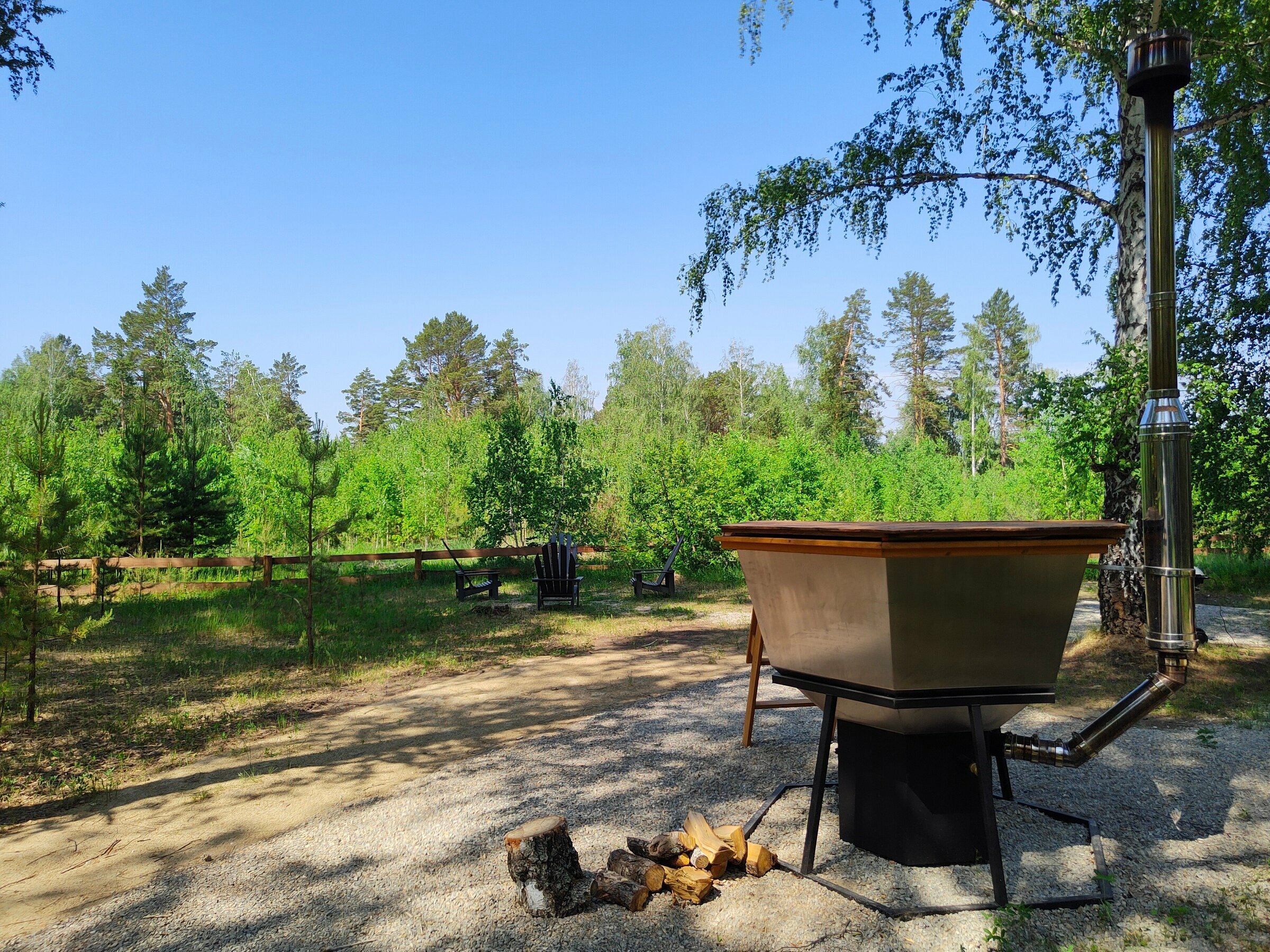 Дом с видом на лес