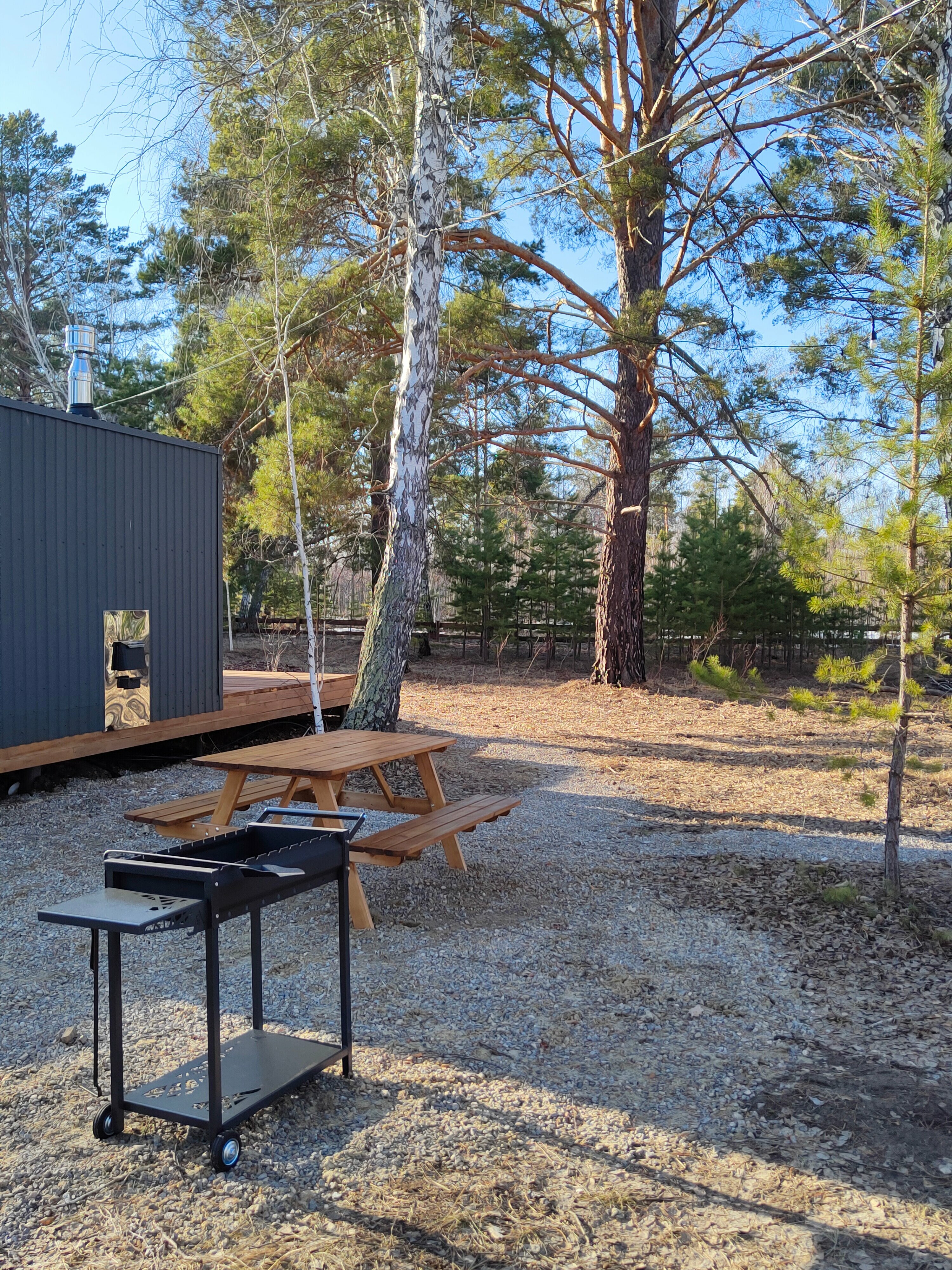 Дом с видом на лес