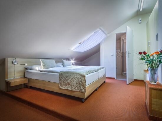 Economy Double Room in Attic 1 Double bed