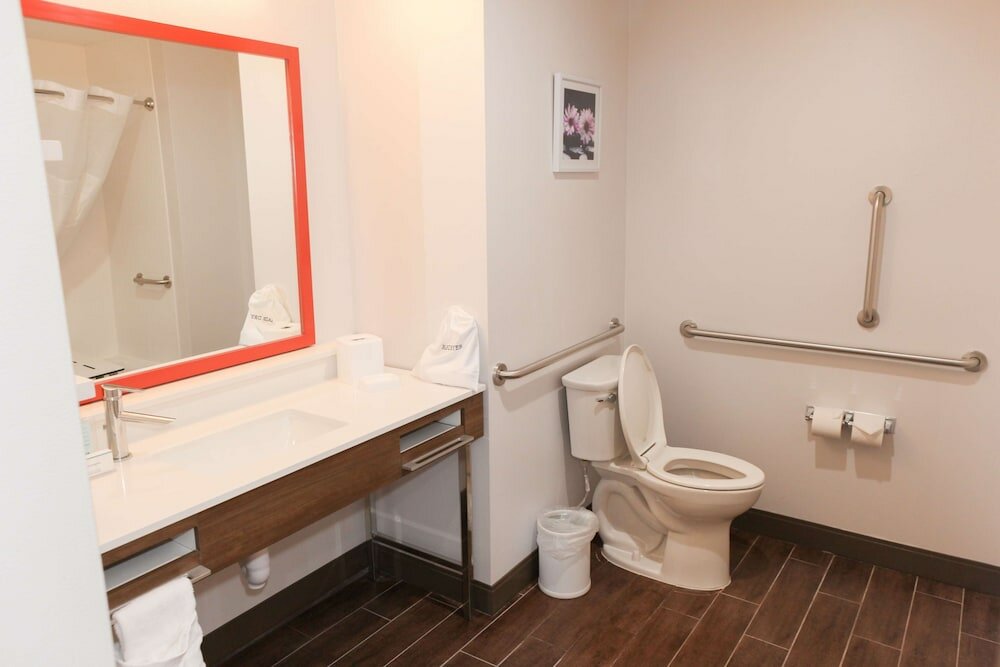 Room, 1 King Bed with Sofa bed, Accessible, Bathtub