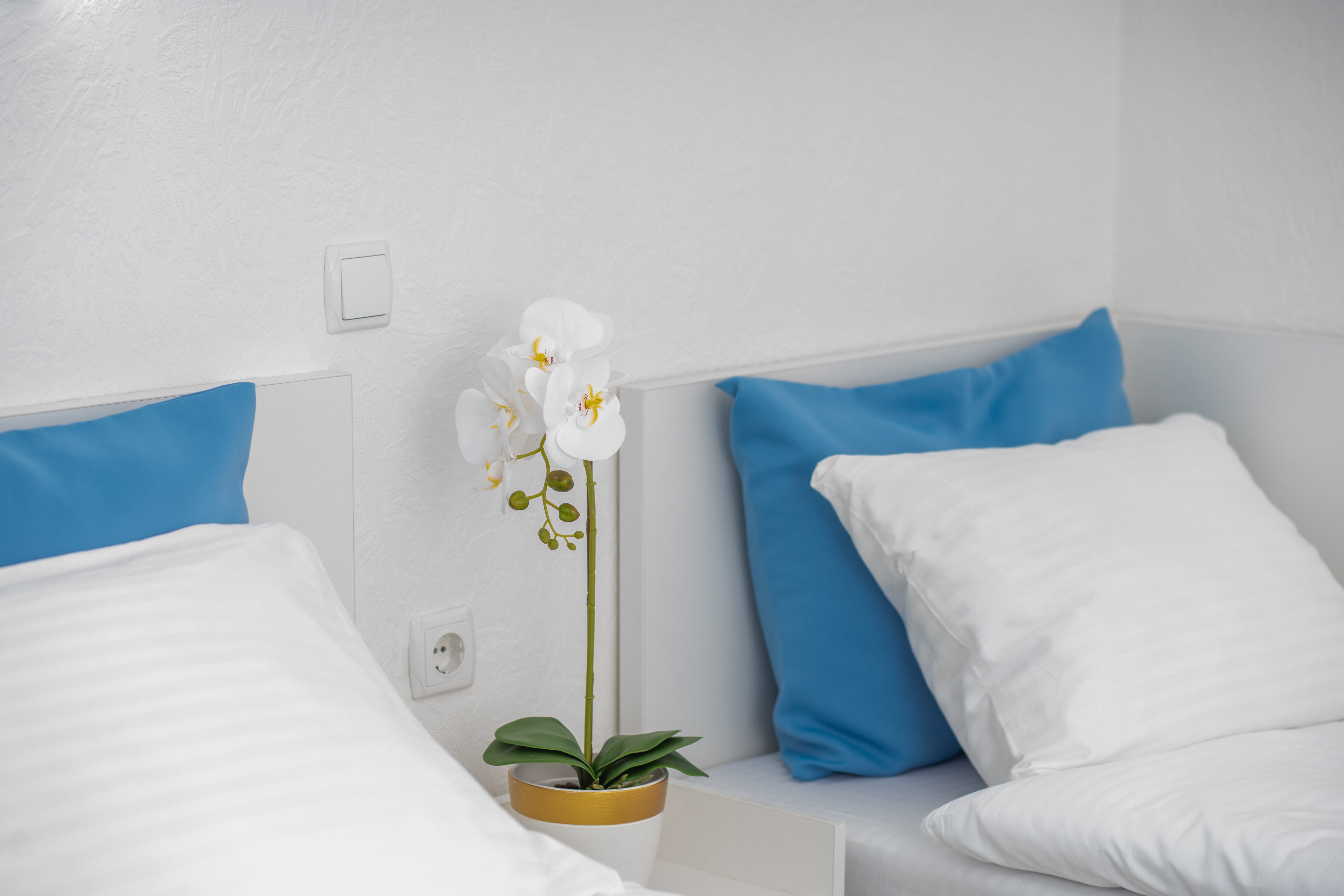 Трехместный номер с видом на море