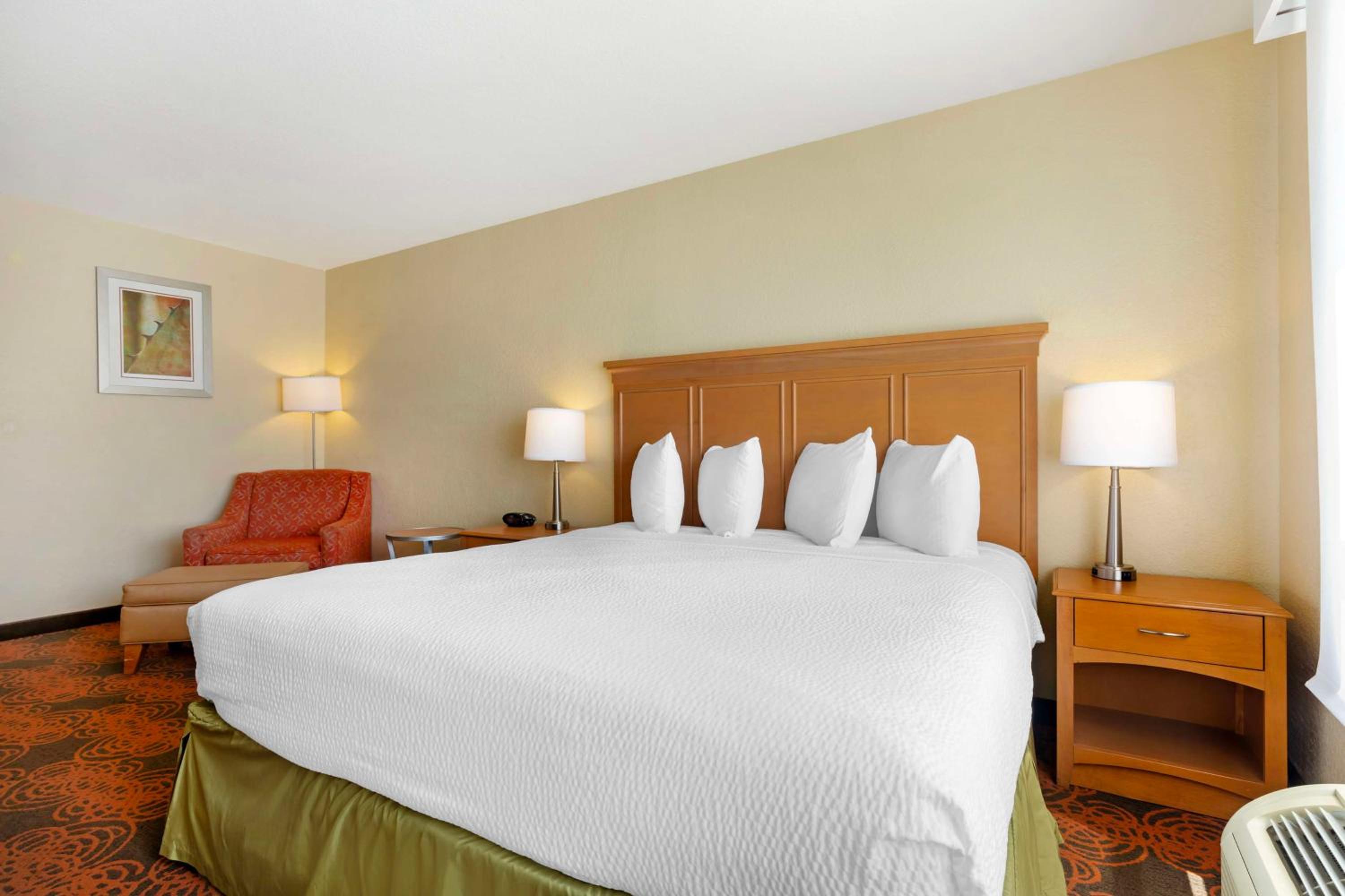 King Room with Roll-In Shower - Disability Access