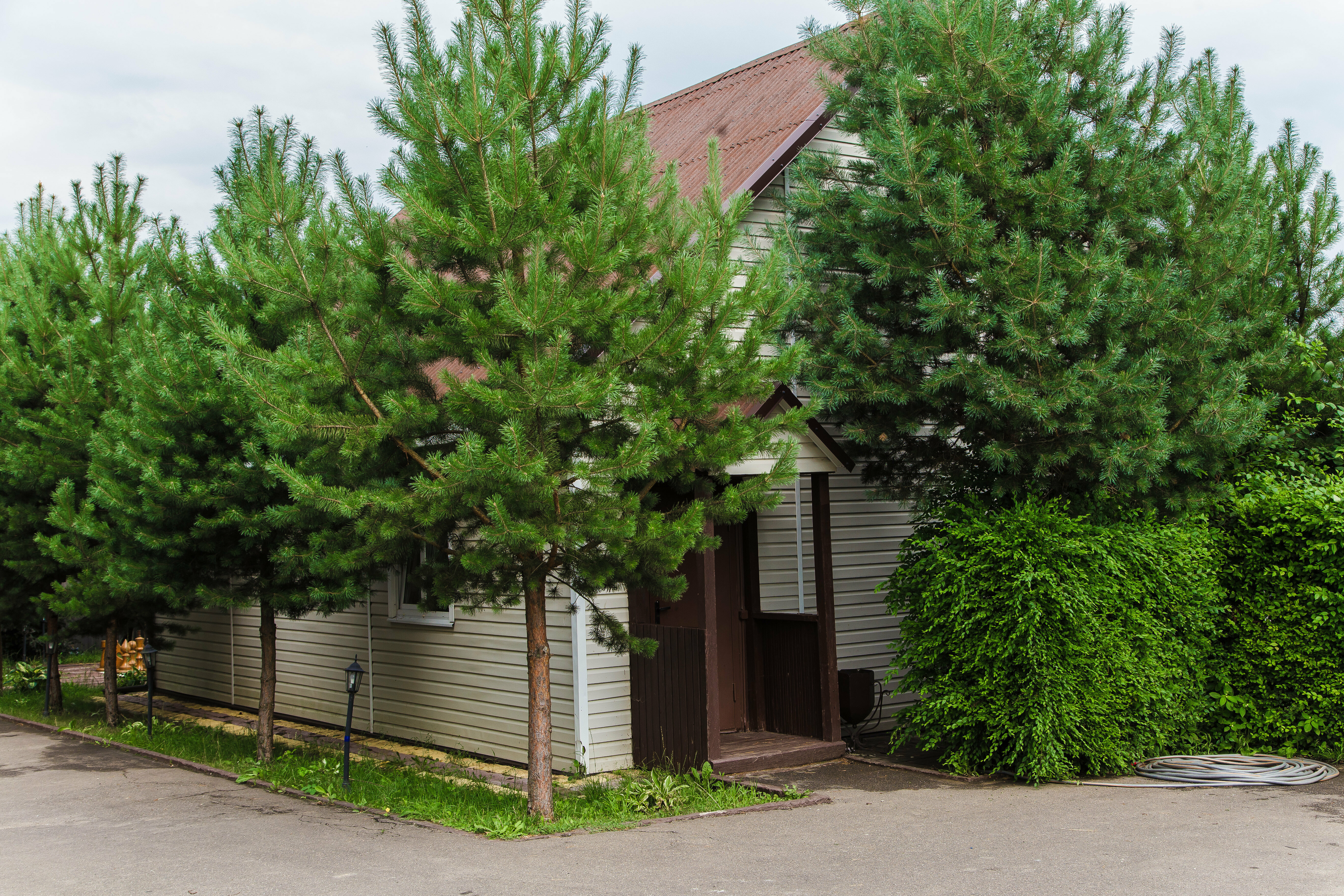 Коттедж с сауной