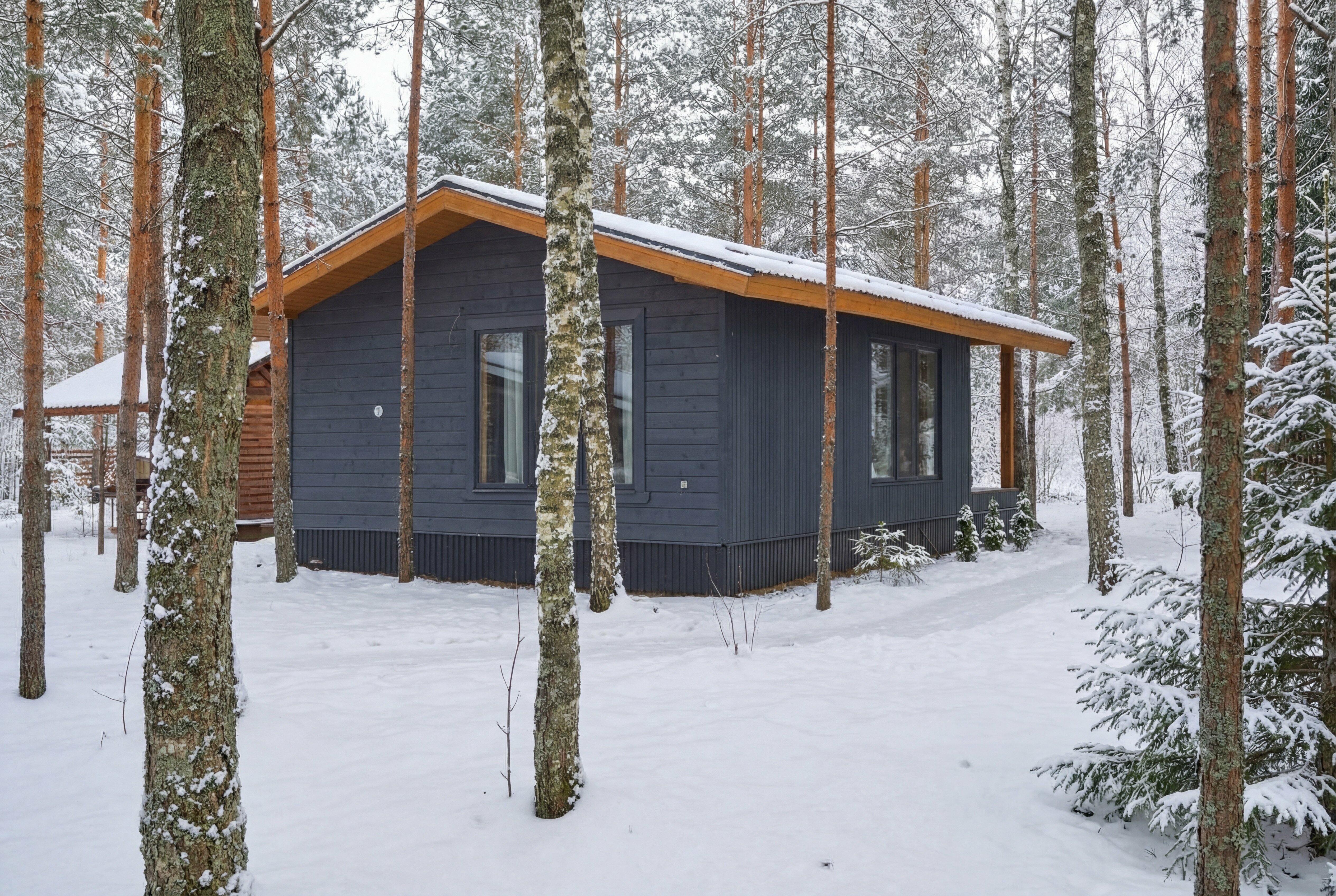 Коттедж с видом на лес