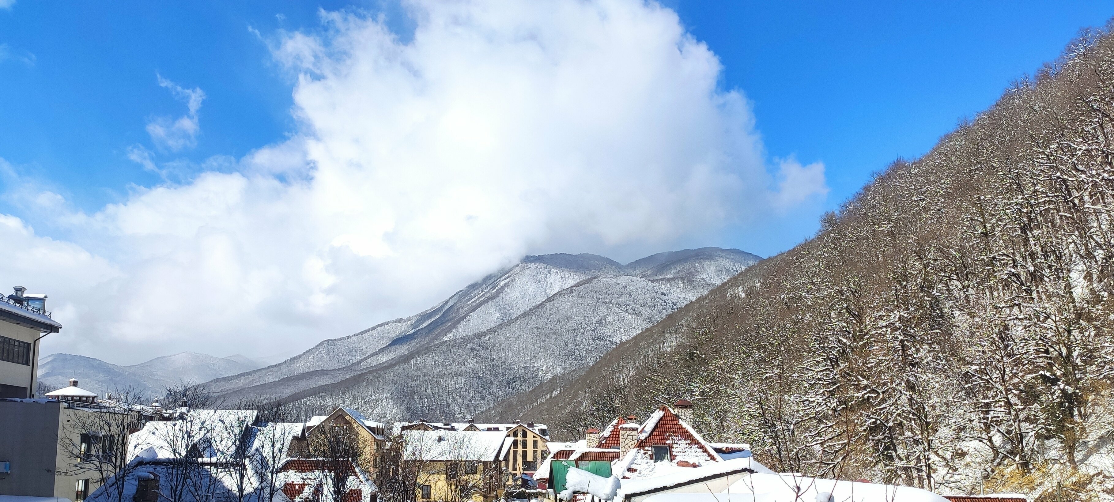 Апартаменты с видом на горы или лес