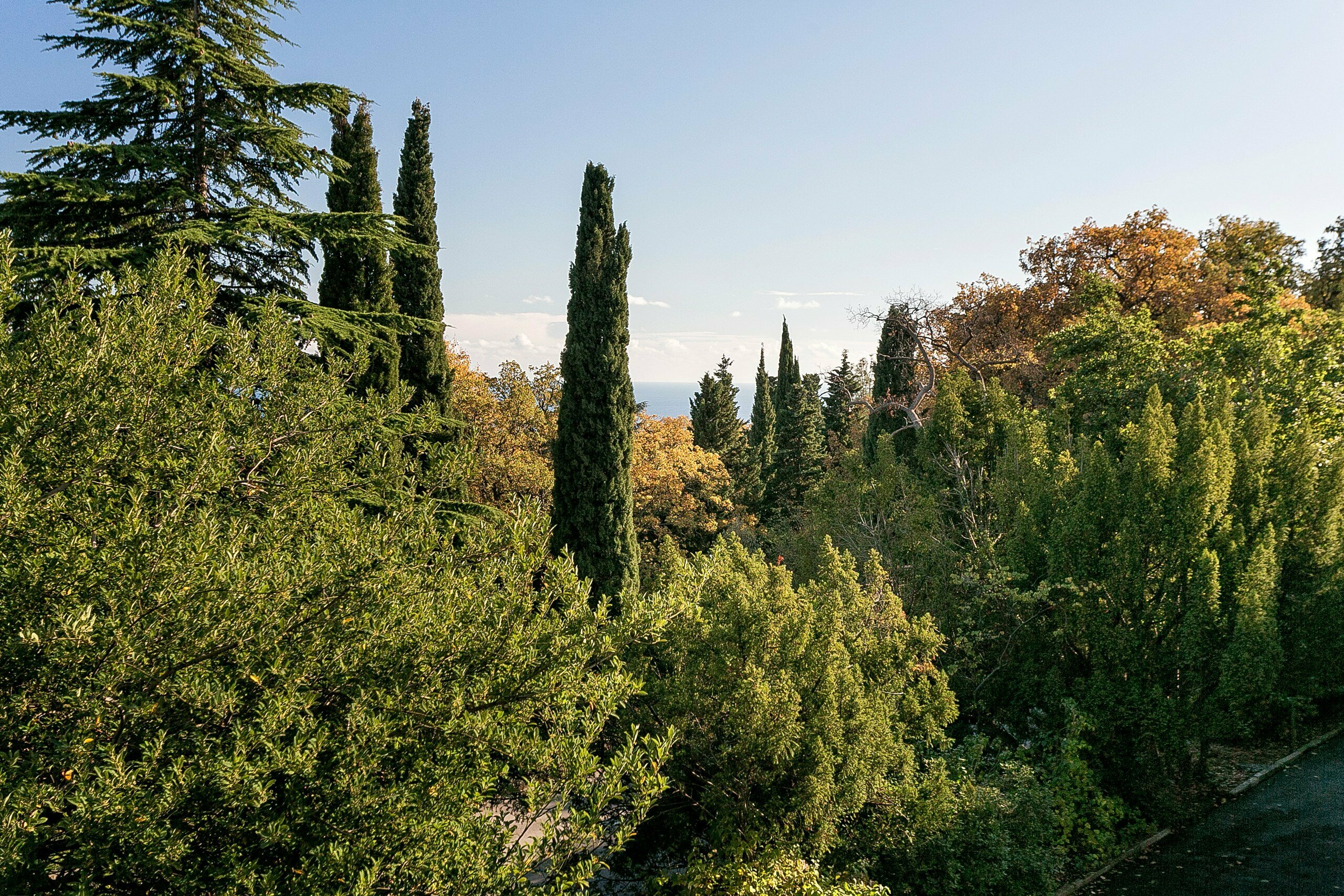 Двухместный номер с 1 кроватью и террасой