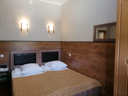 Двухместный номер с 1 кроватью или 2 отдельными кроватями